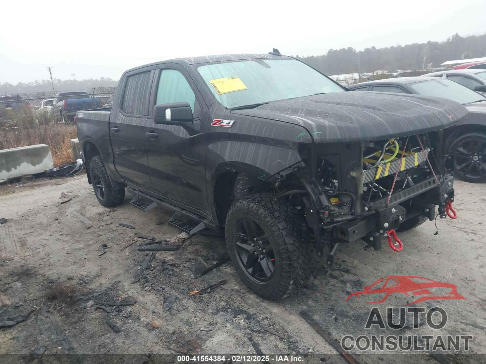 CHEVROLET SILVERADO 1500 2021 - 3GCPYFEDXMG260431
