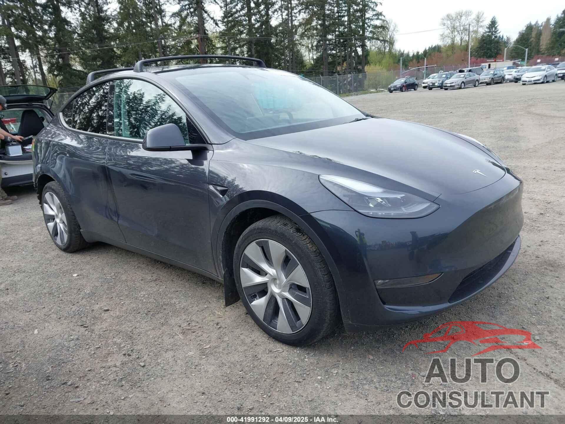 TESLA MODEL Y 2024 - 7SAYGAEE5RF981789