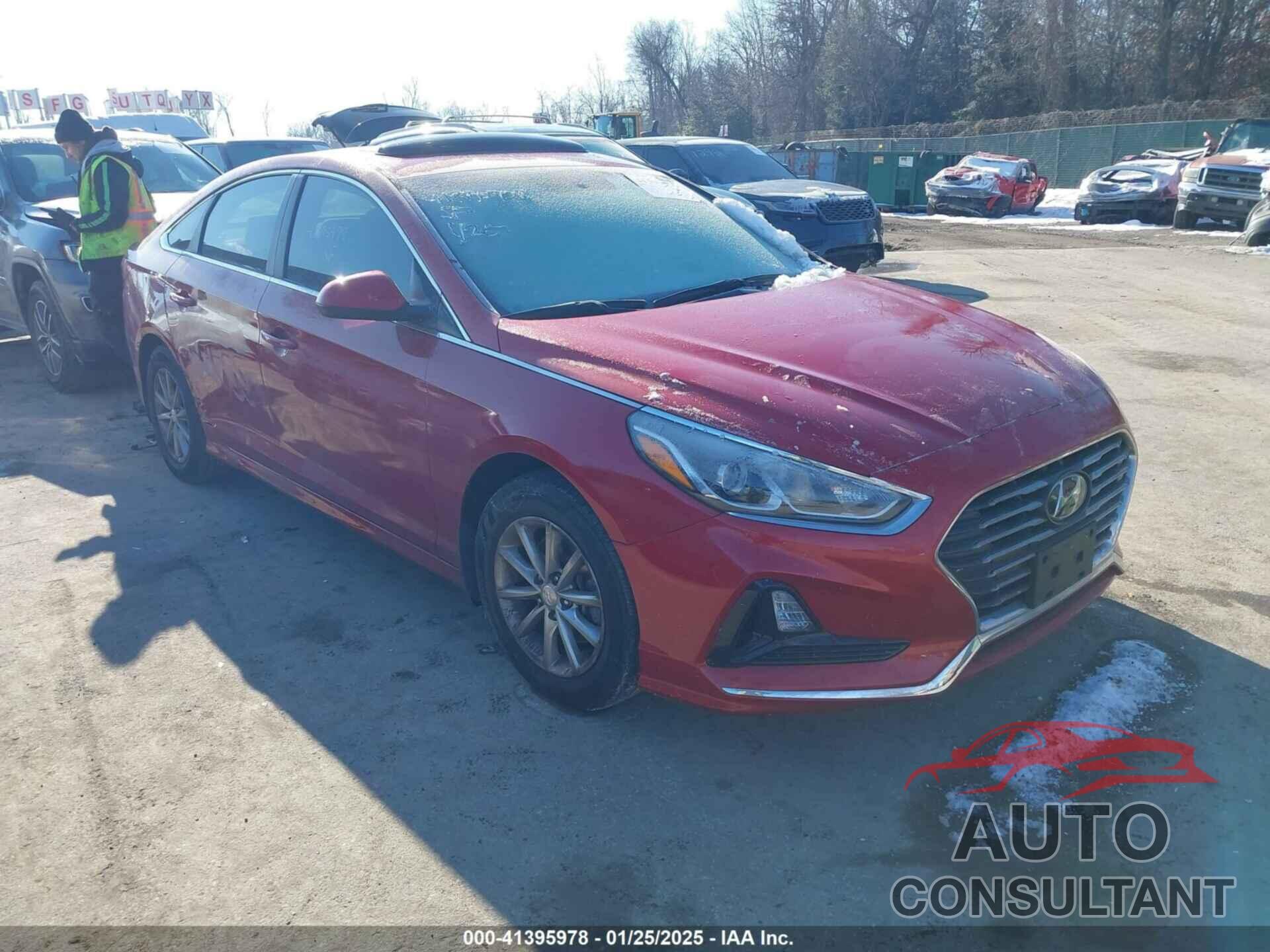 HYUNDAI SONATA 2019 - 5NPE24AFXKH804970