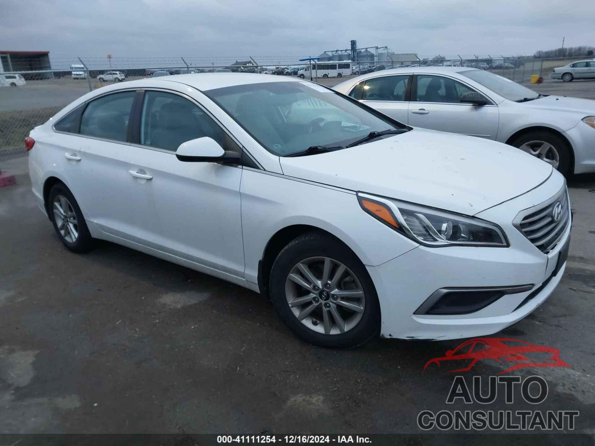HYUNDAI SONATA 2017 - 5NPE24AF7HH594188
