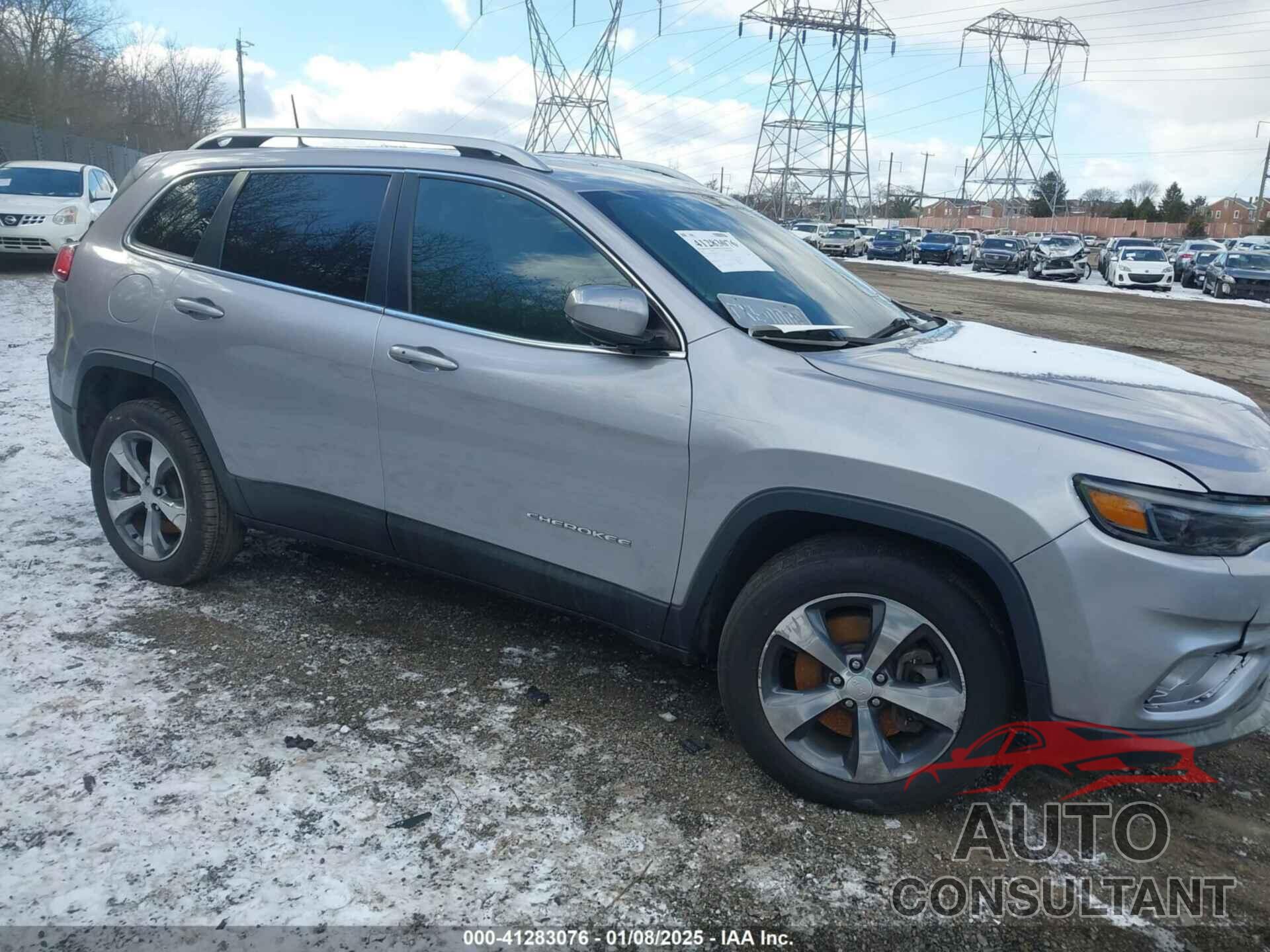 JEEP CHEROKEE 2019 - 1C4PJMDN4KD116712
