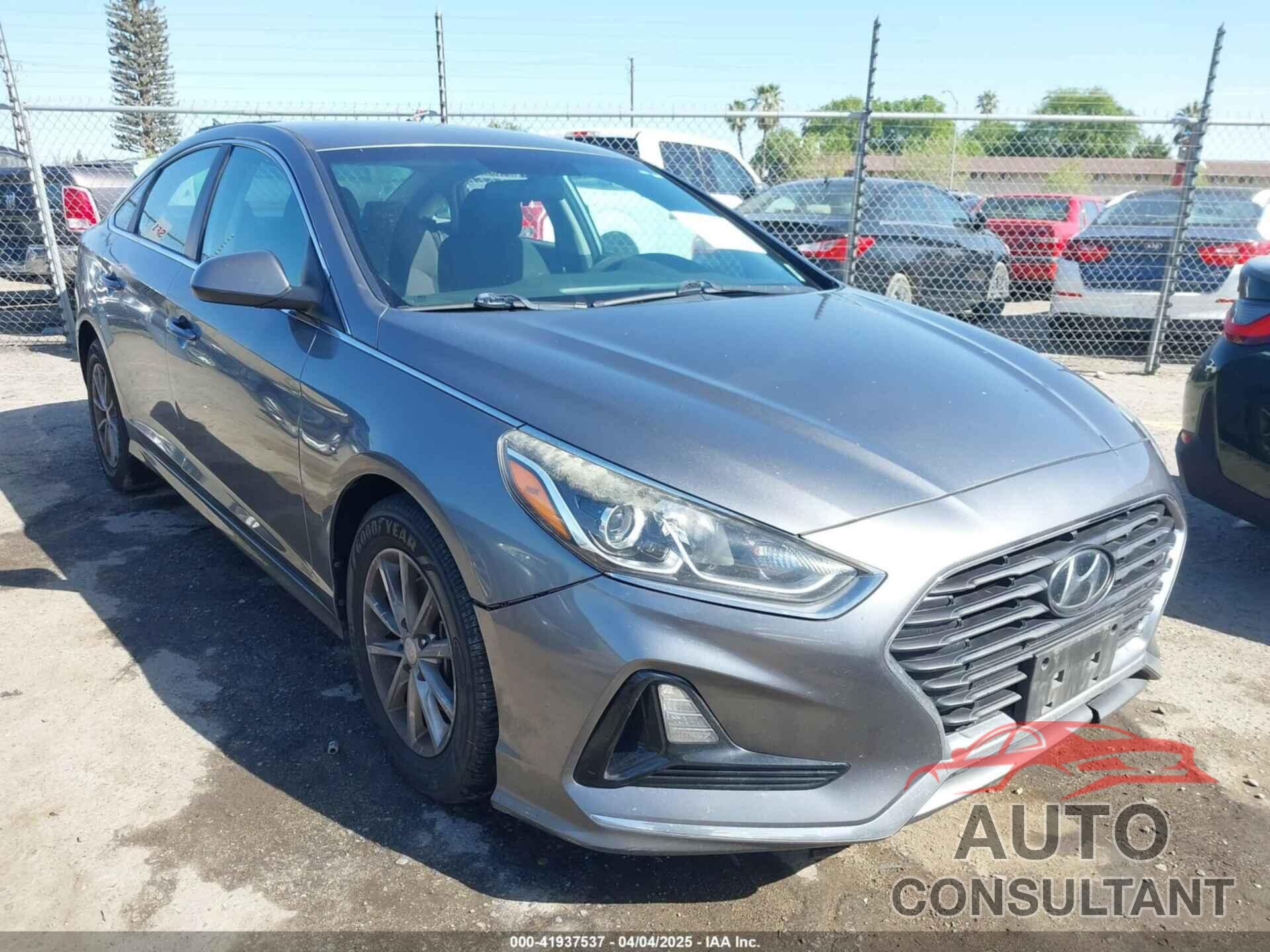 HYUNDAI SONATA 2019 - 5NPE24AF3KH733627