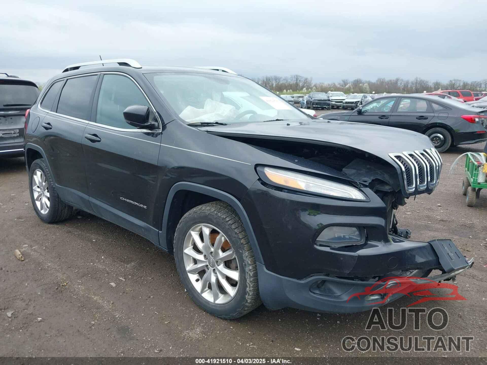 JEEP CHEROKEE 2014 - 1C4PJMDS3EW300537