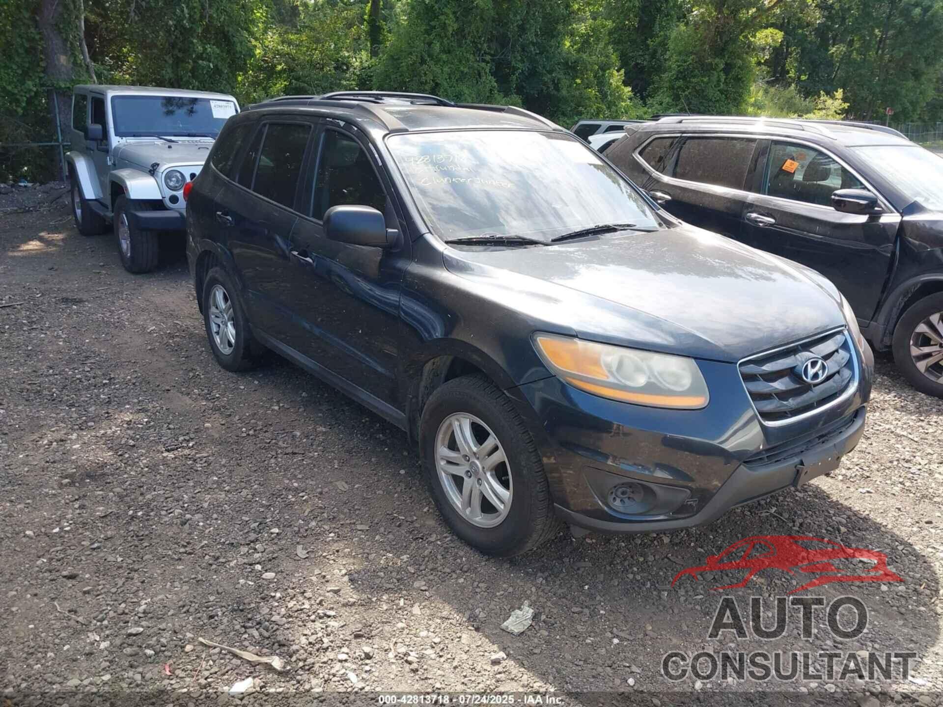 HYUNDAI SANTA FE 2010 - 5NMSGDAB1AH381404