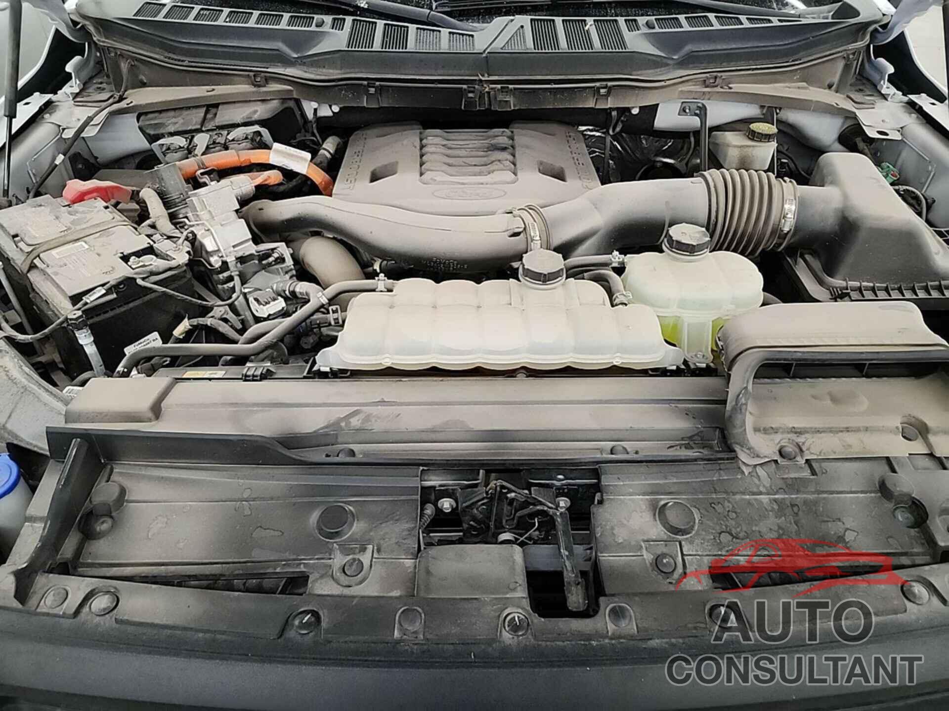 FORD F150 2022 - 1FTFW1ED5NFC41051