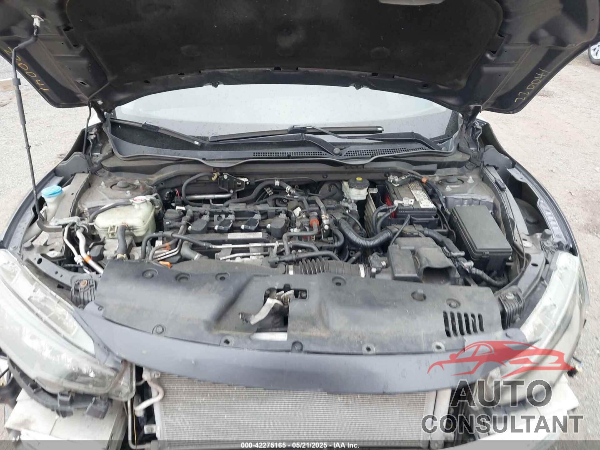 HONDA CIVIC 2017 - 19XFC1F36HE208573