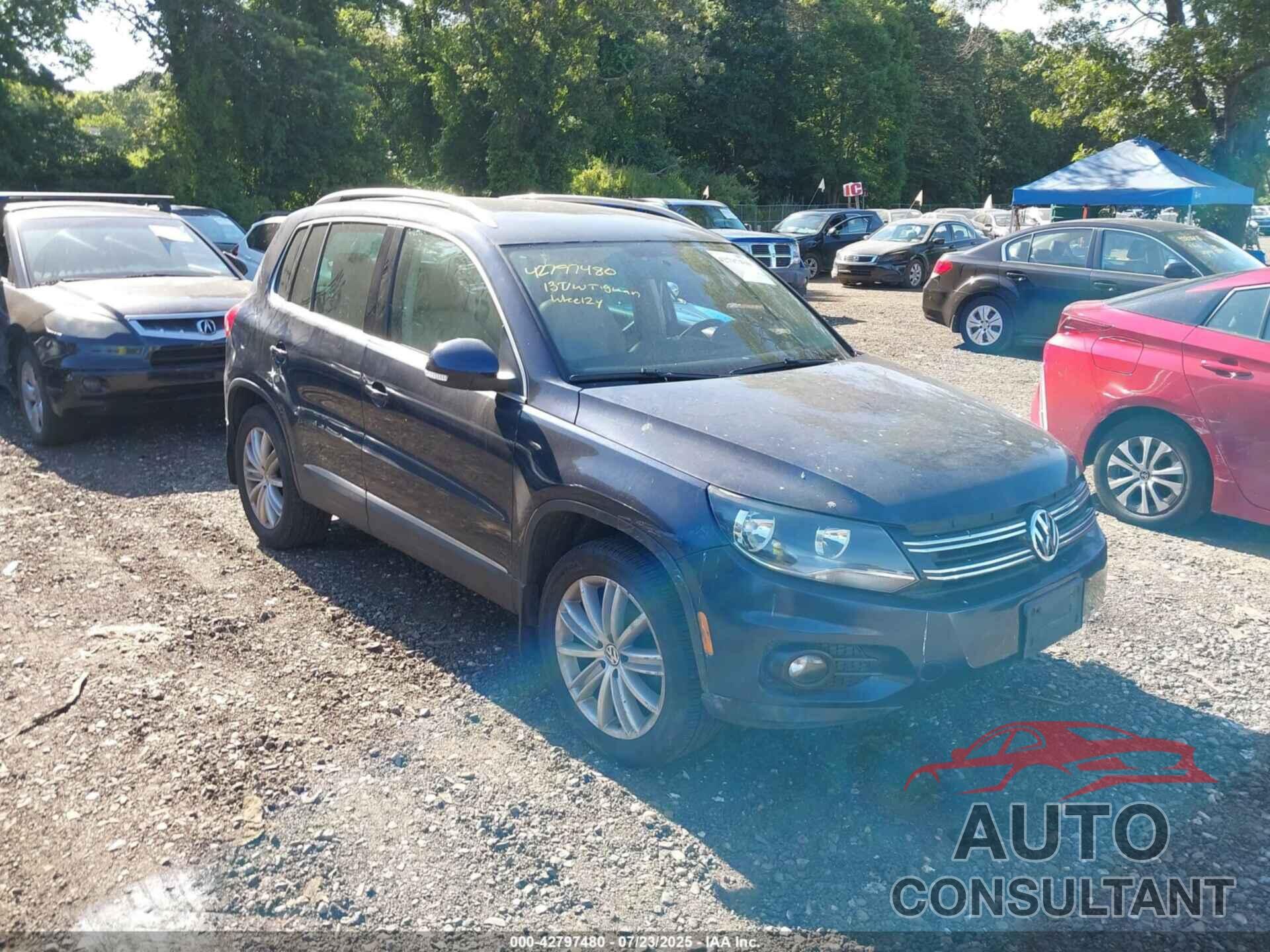 VOLKSWAGEN TIGUAN 2013 - WVGBV7AXXDW547581
