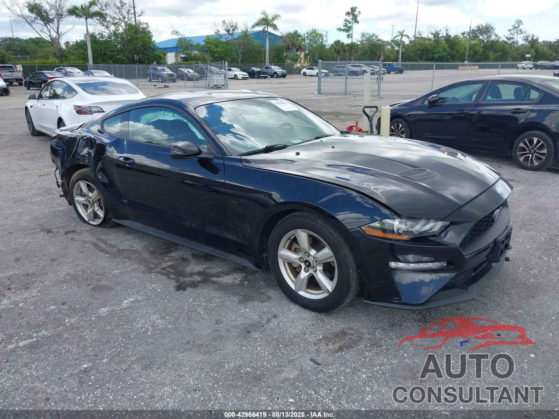 FORD MUSTANG 2019 - 1FA6P8TH7K5185102