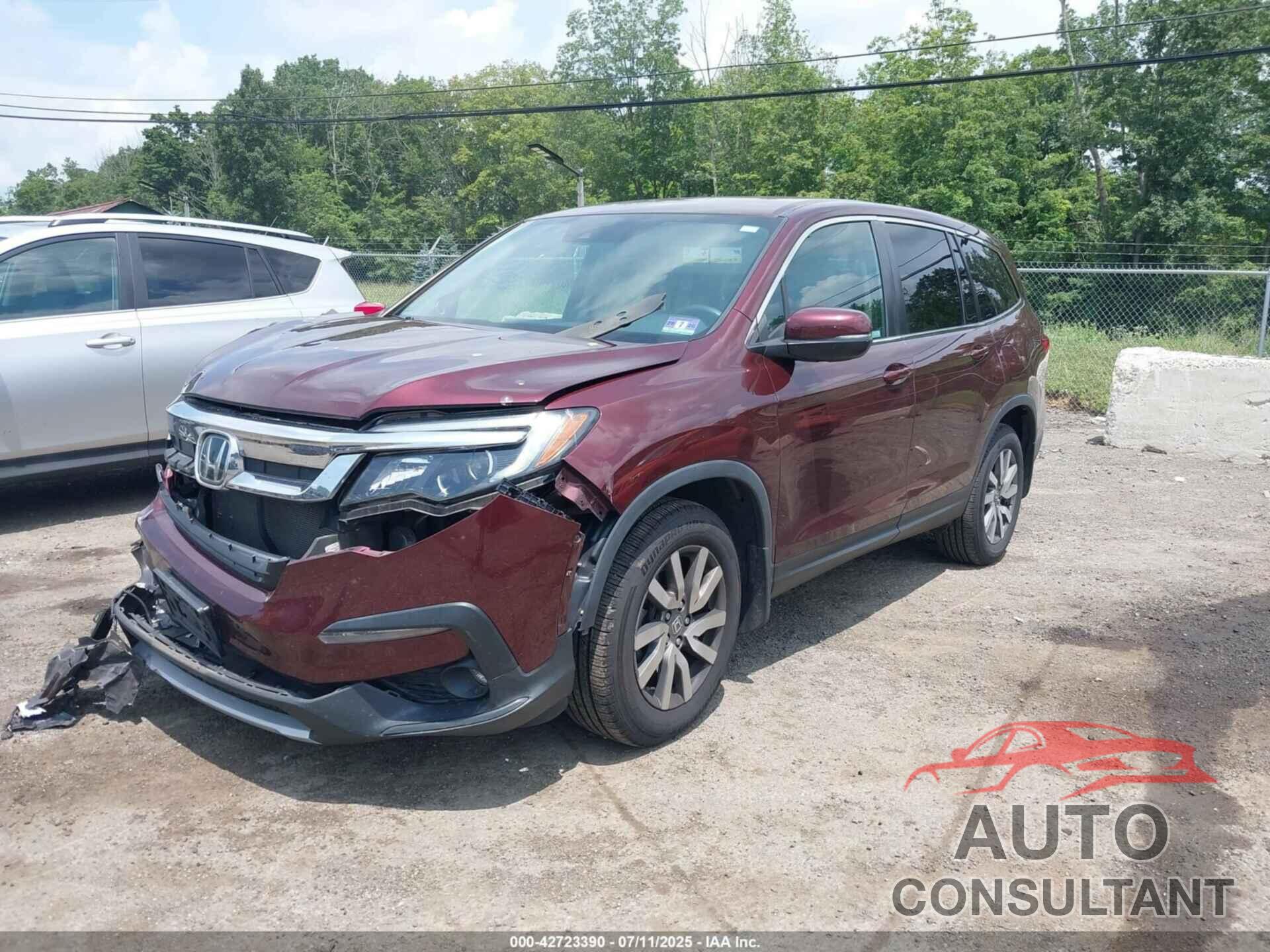 HONDA PILOT 2019 - 5FNYF6H36KB079911