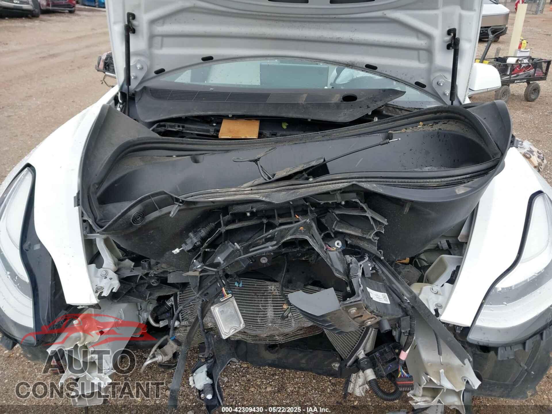 TESLA MODEL 3 2020 - 5YJ3E1EA7LF710041
