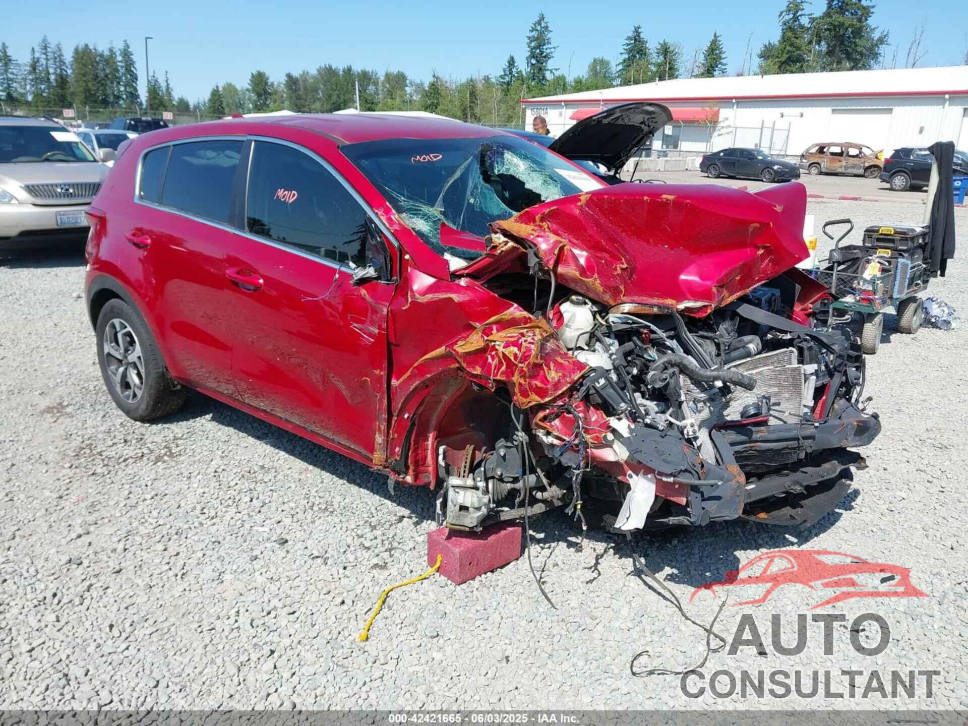 KIA SPORTAGE 2021 - KNDPM3AC9M7932398