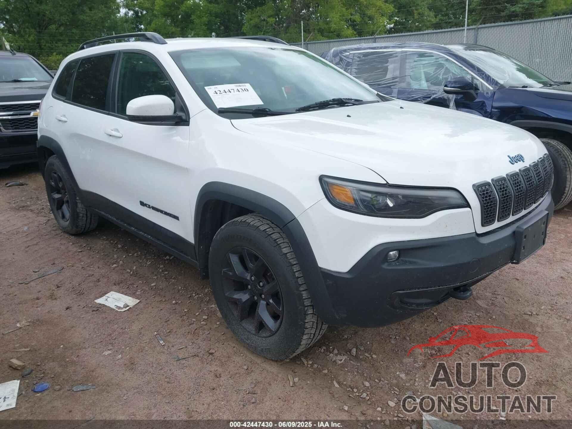 JEEP CHEROKEE 2019 - 1C4PJMCX9KD476710