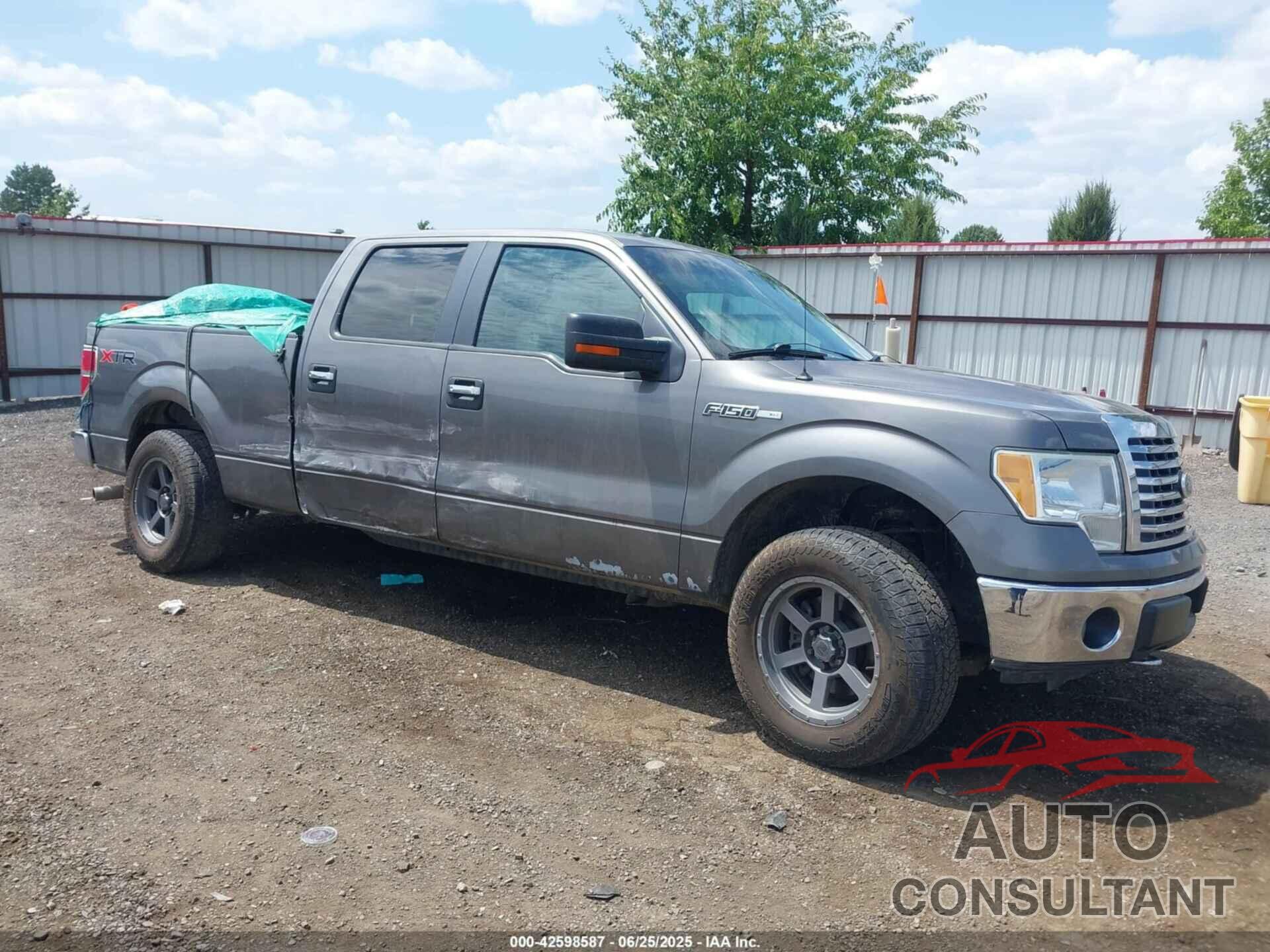 FORD F-150 2010 - 1FTFW1EV3AFD14579