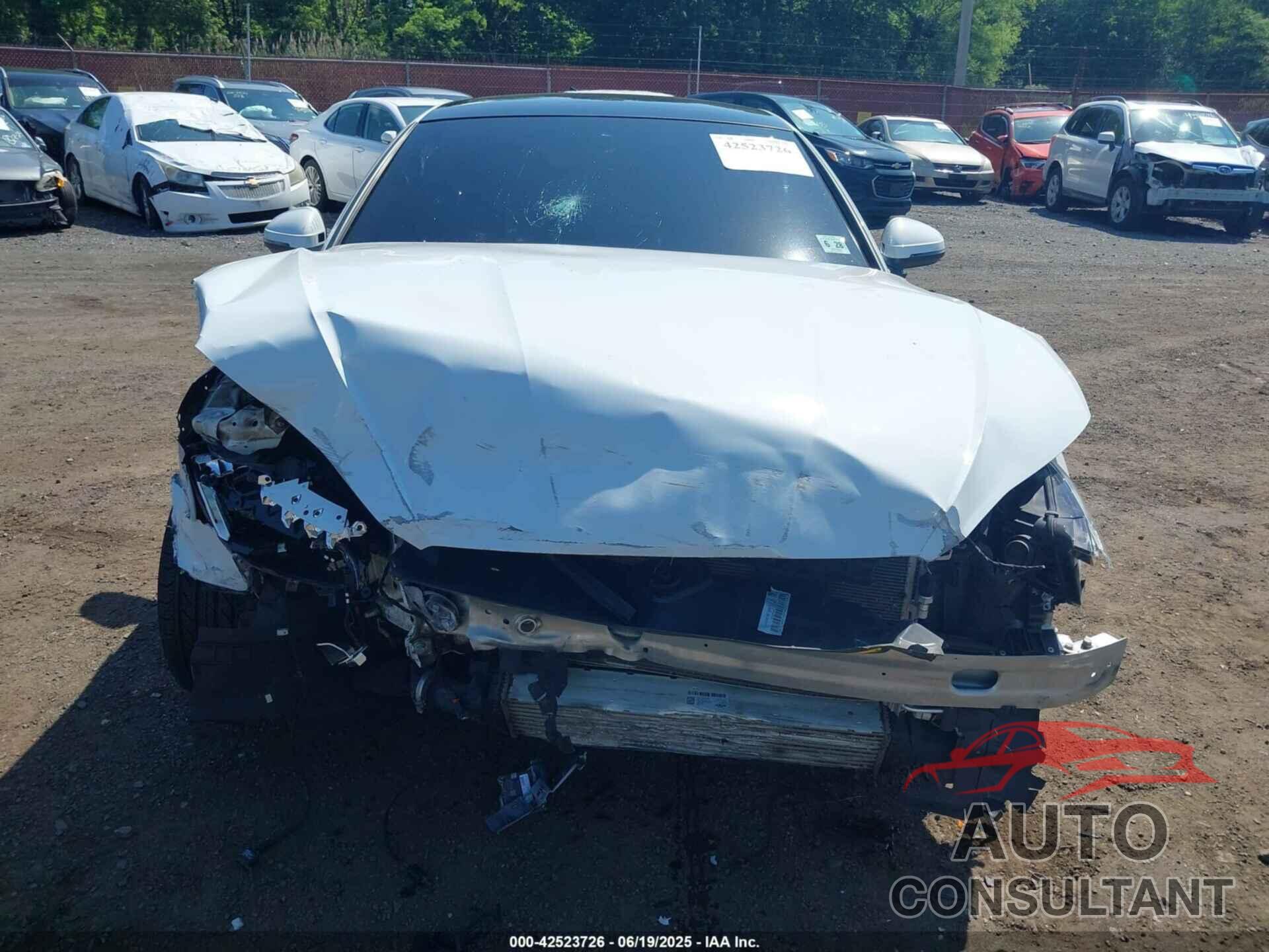 AUDI A5 SPORTBACK 2023 - WAUFACF56PA057431