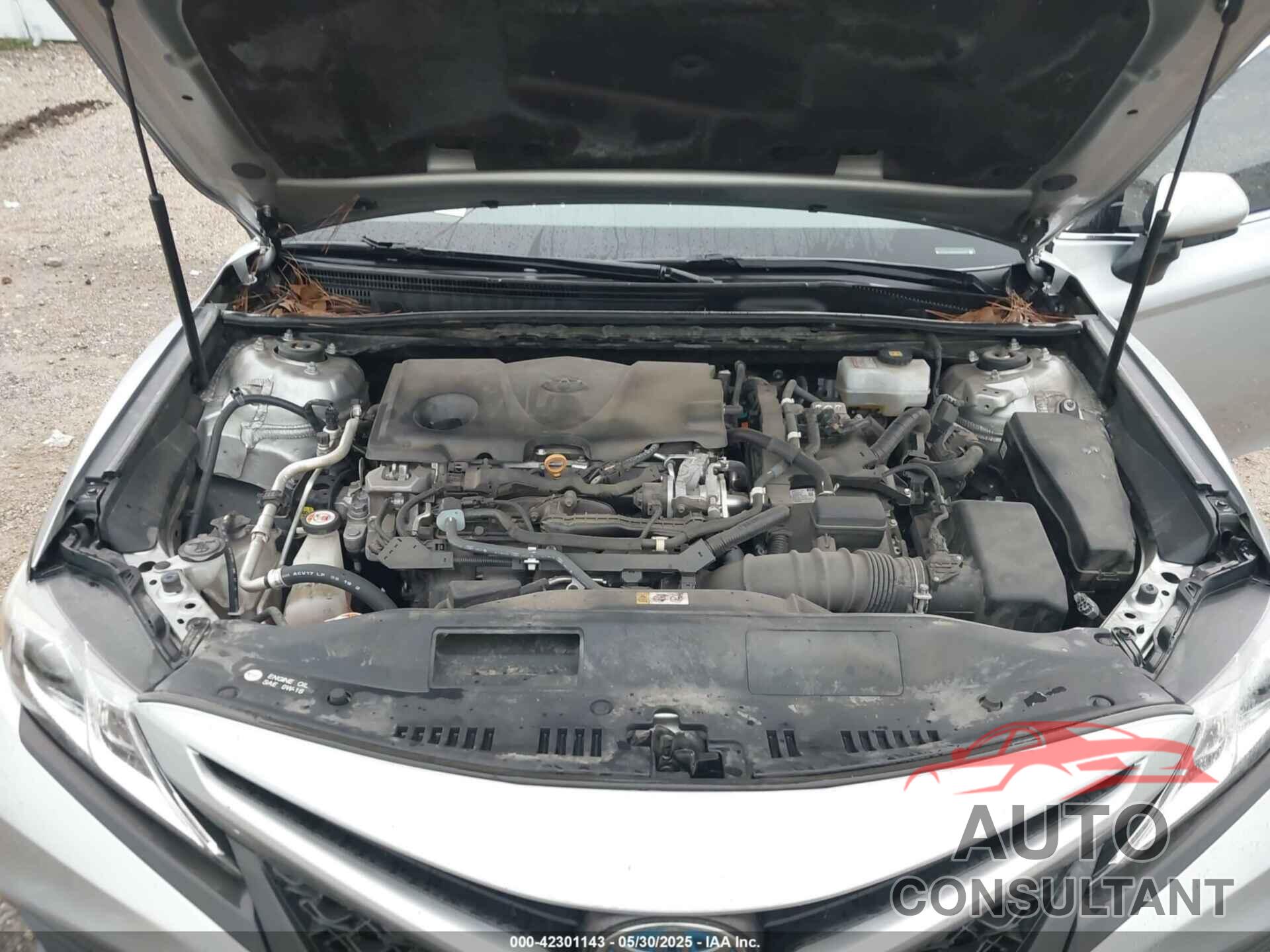 TOYOTA CAMRY HYBRID 2019 - 4T1B21HK8KU012077