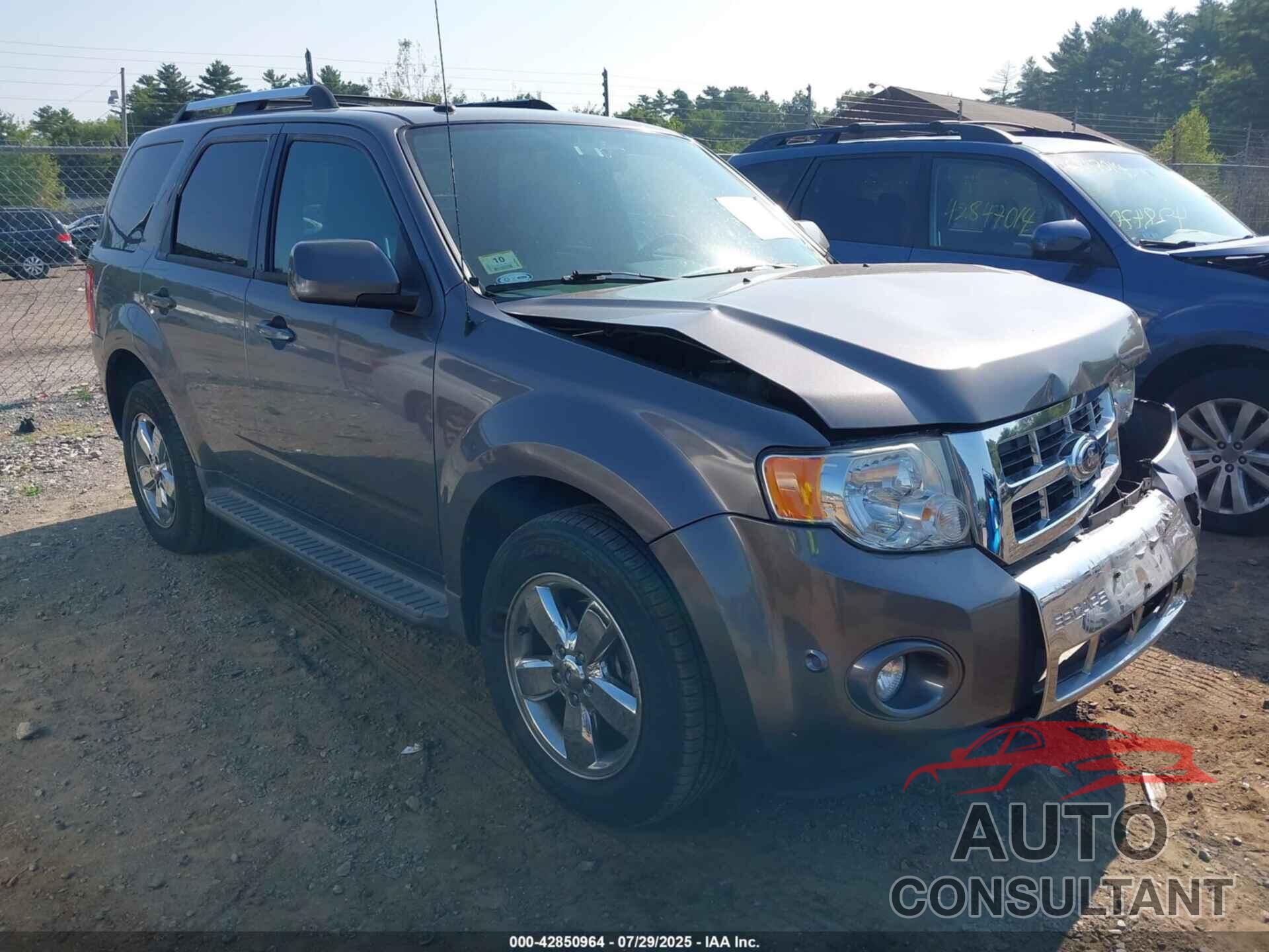 FORD ESCAPE 2010 - 1FMCU9EG6AKD15530