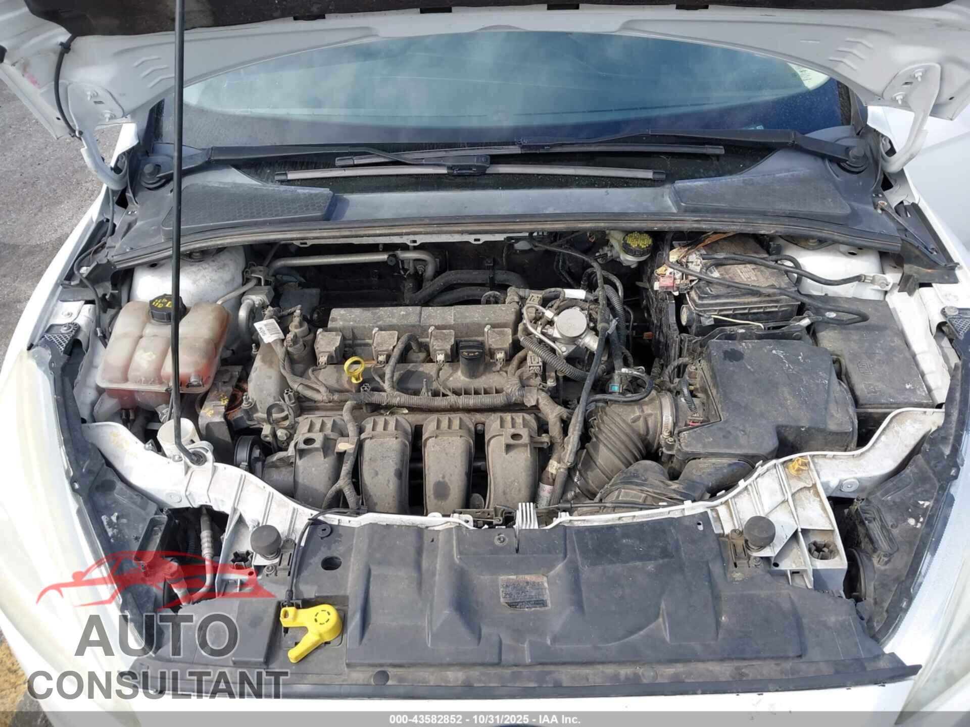 FORD FOCUS 2016 - 1FADP3K29GL406970
