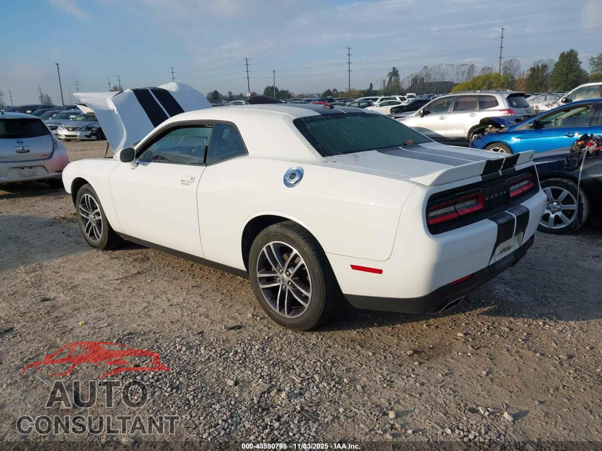 DODGE CHALLENGER 2019 - 2C3CDZGG4KH690413