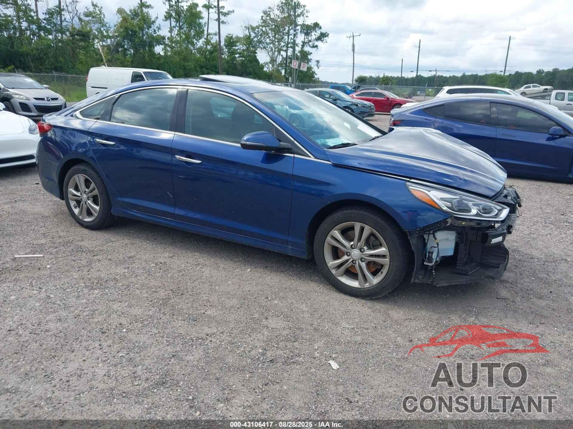 HYUNDAI SONATA 2019 - 5NPE34AF6KH821052