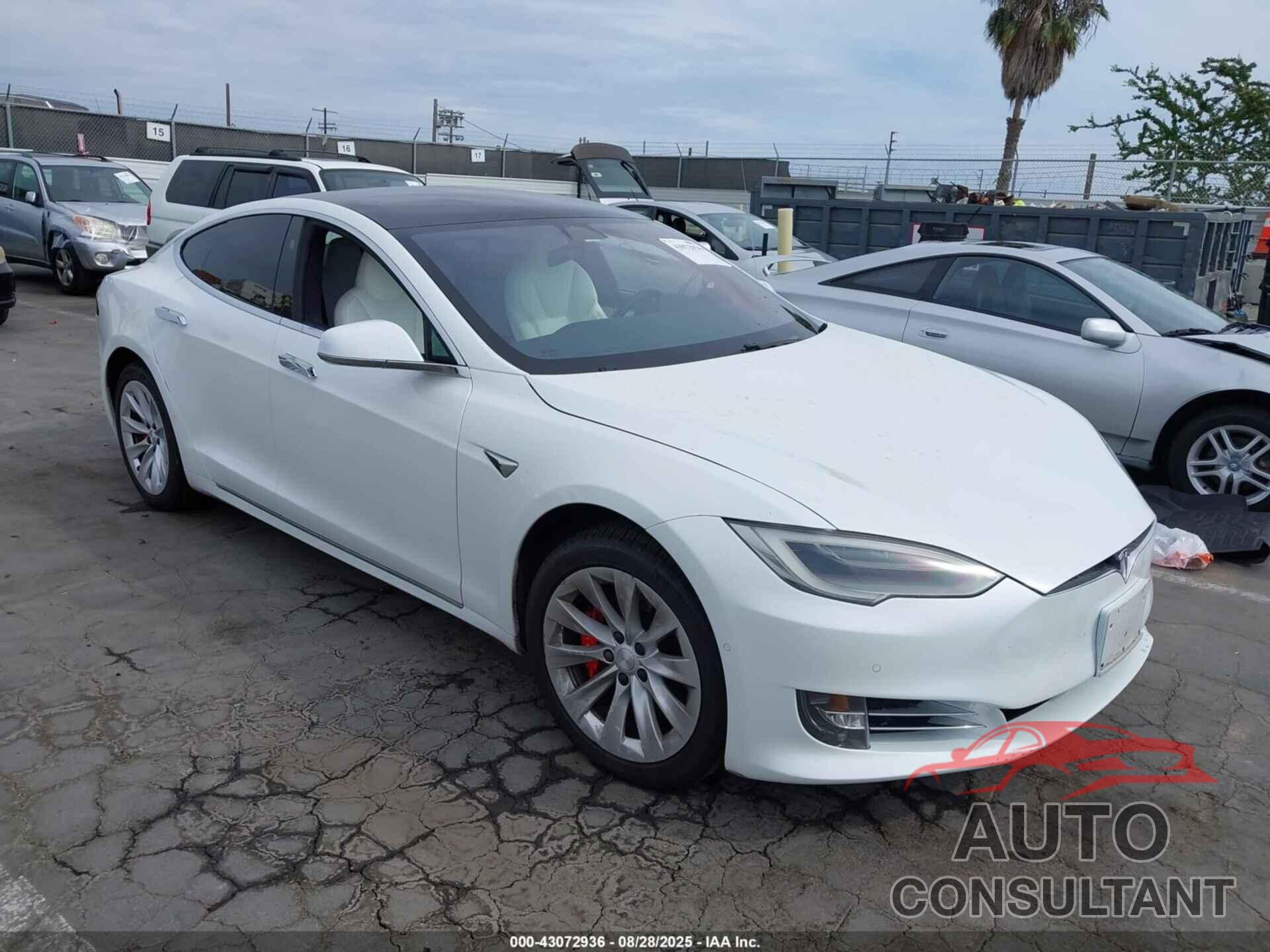 TESLA MODEL S 2020 - 5YJSA1E44LF364385