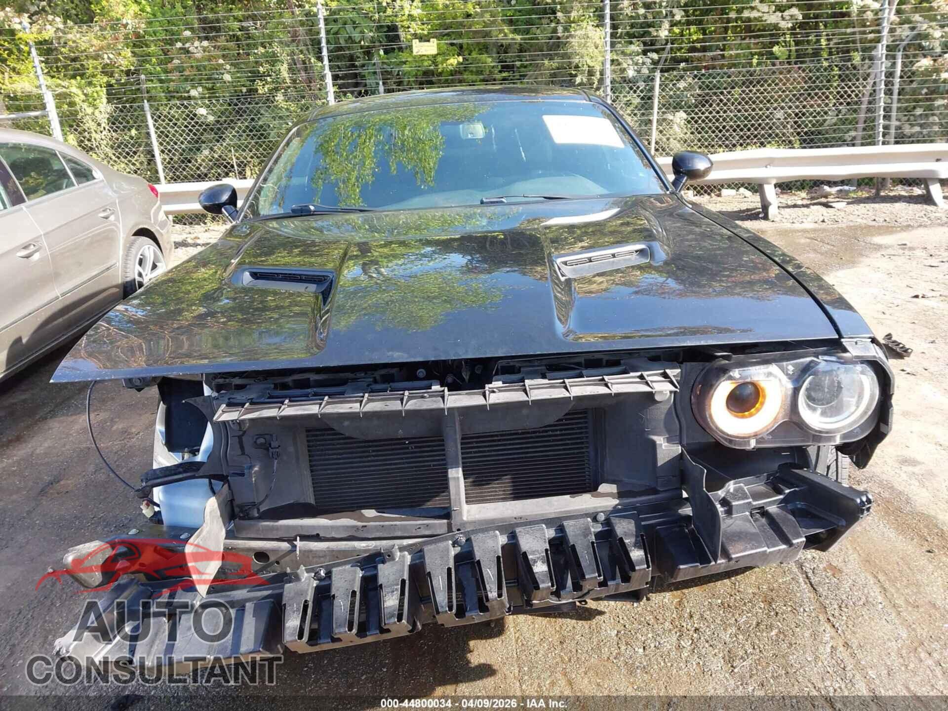 DODGE CHALLENGER 2019 - 2C3CDZAG3KH669335
