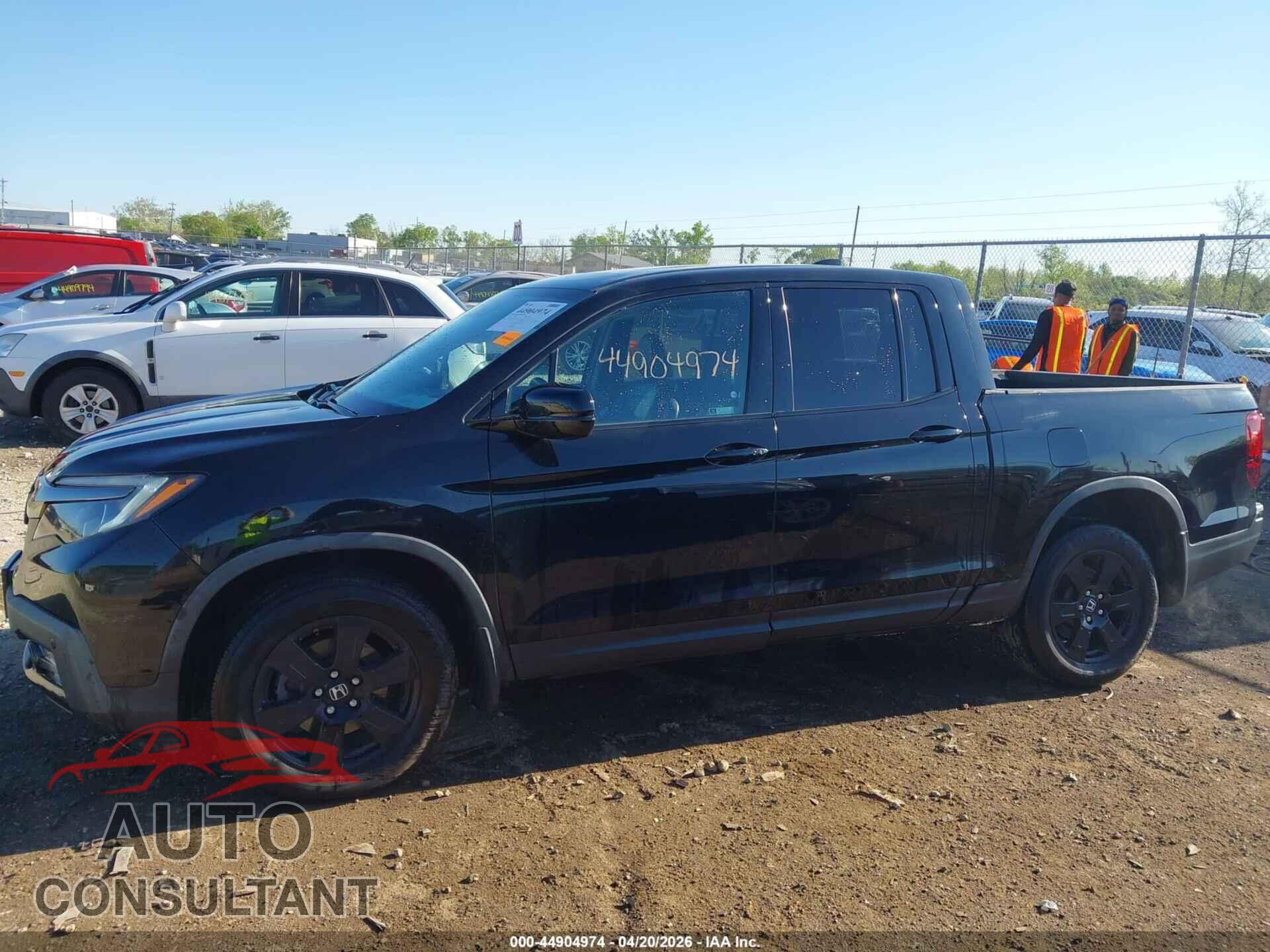 HONDA RIDGELINE 2019 - 5FPYK3F85KB017724
