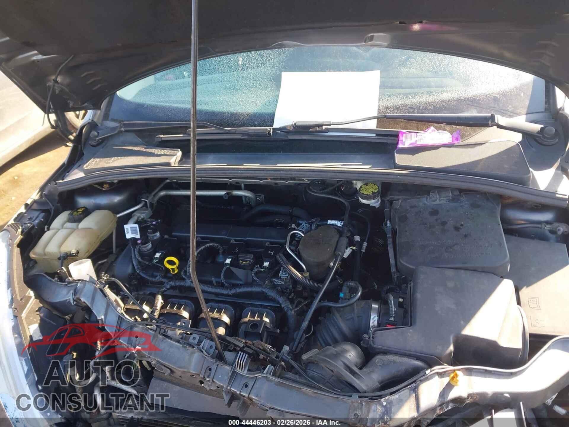 FORD FOCUS 2016 - 1FADP3F21GL202058