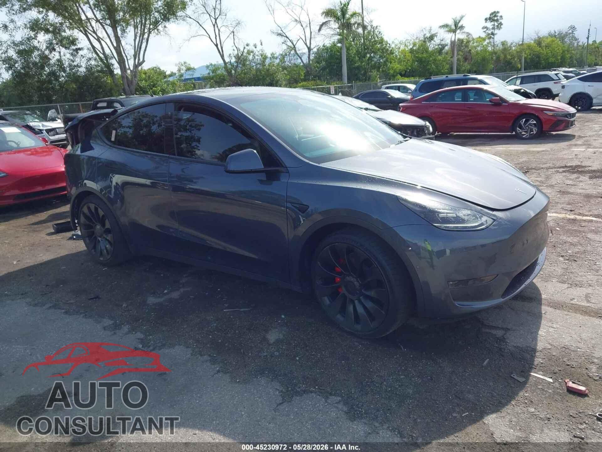 TESLA MODEL Y 2022 - 7SAYGDEF6NF533520