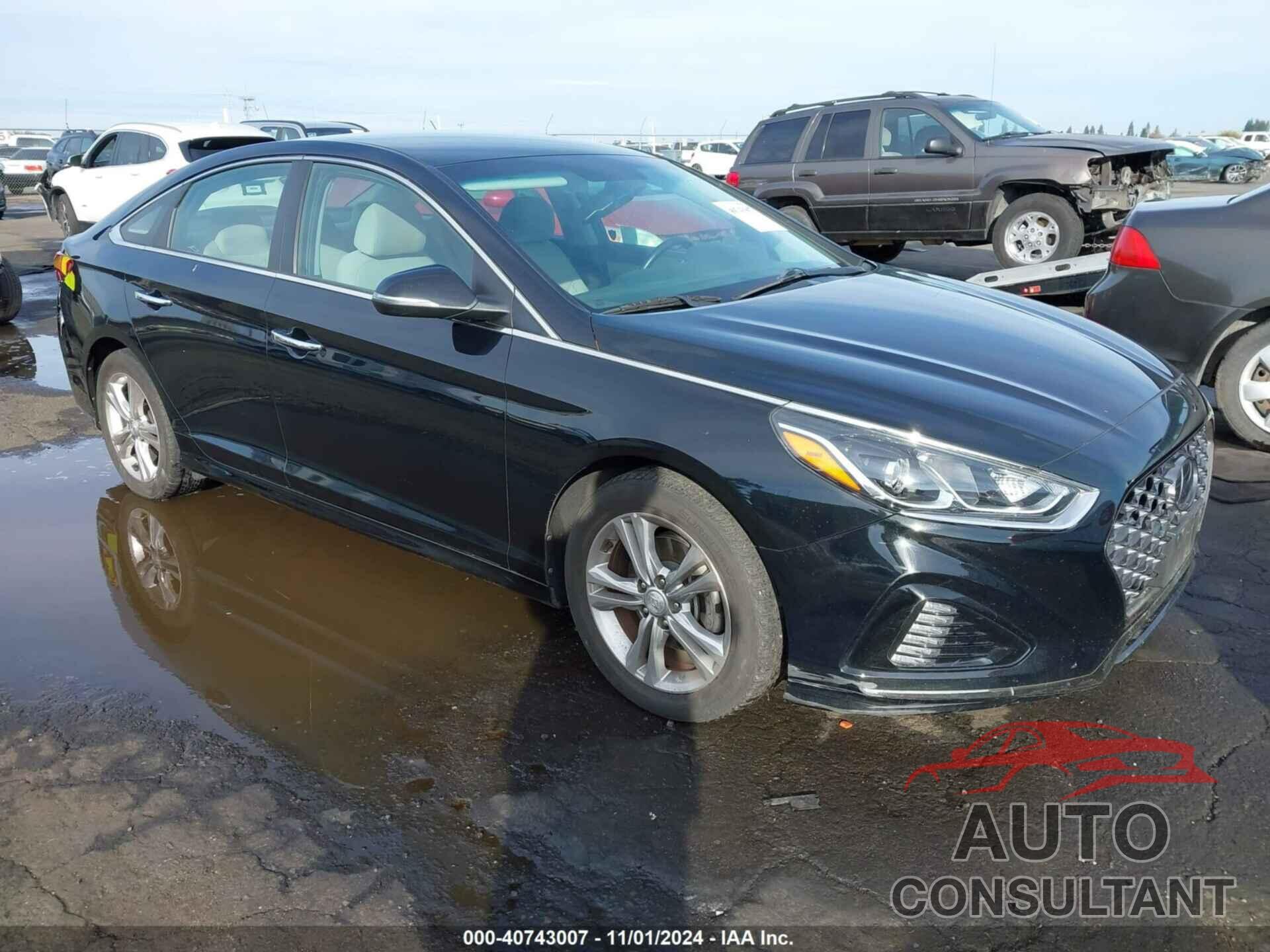 HYUNDAI SONATA 2019 - 5NPE34AF9KH745231