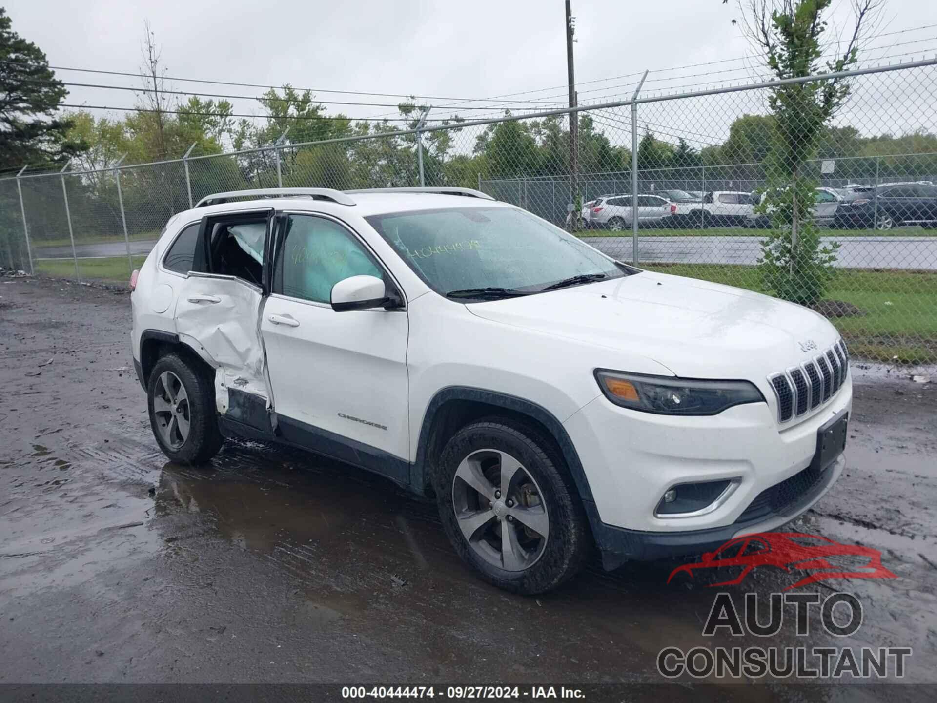 JEEP CHEROKEE 2019 - 1C4PJMDX0KD321851