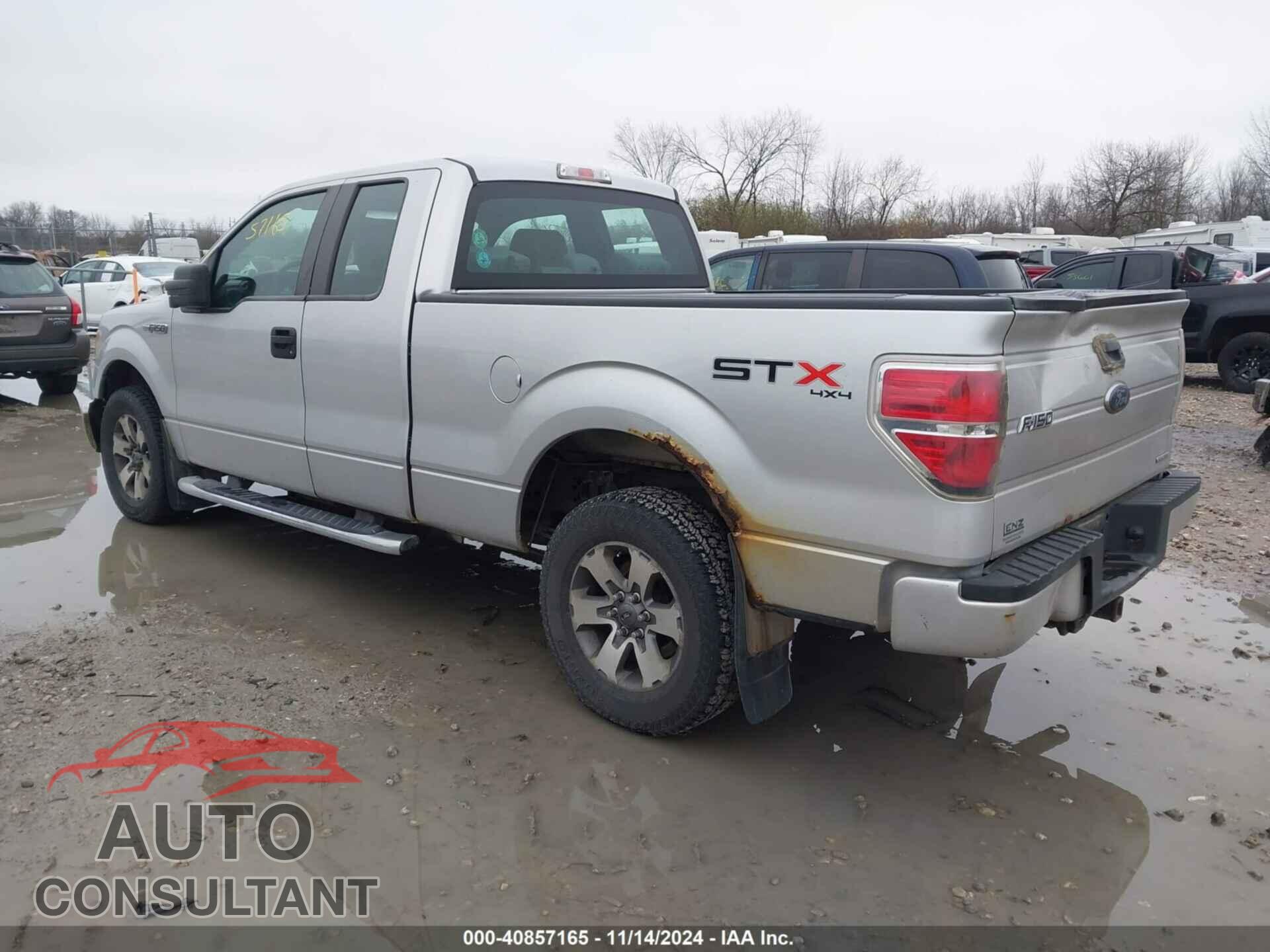 FORD F-150 2013 - 1FTFX1EF7DFD33954