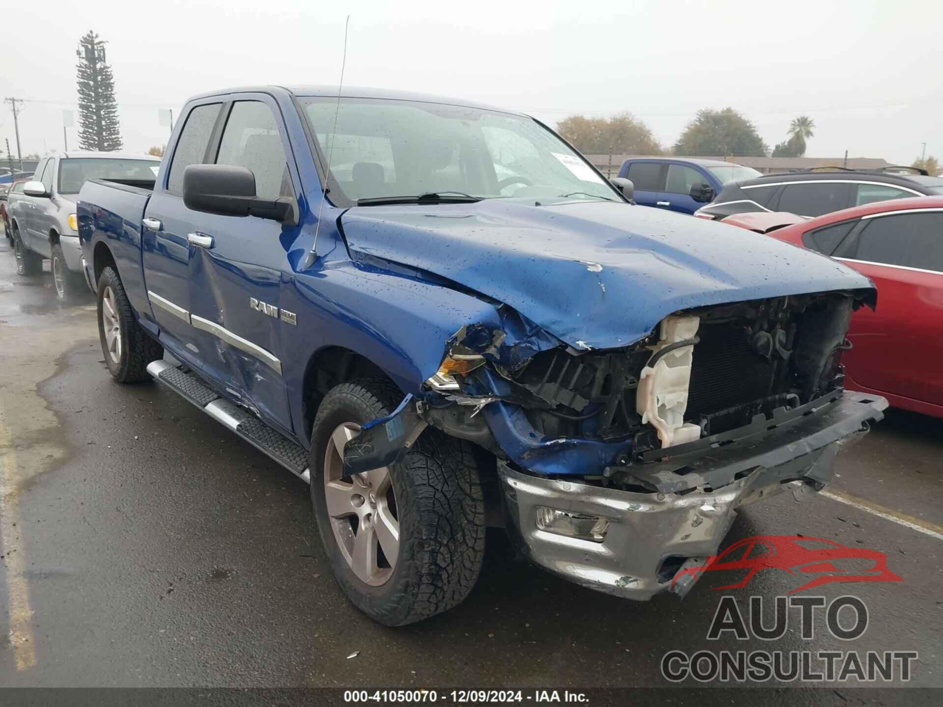 DODGE RAM 1500 2009 - 1D3HB18TX9S767784