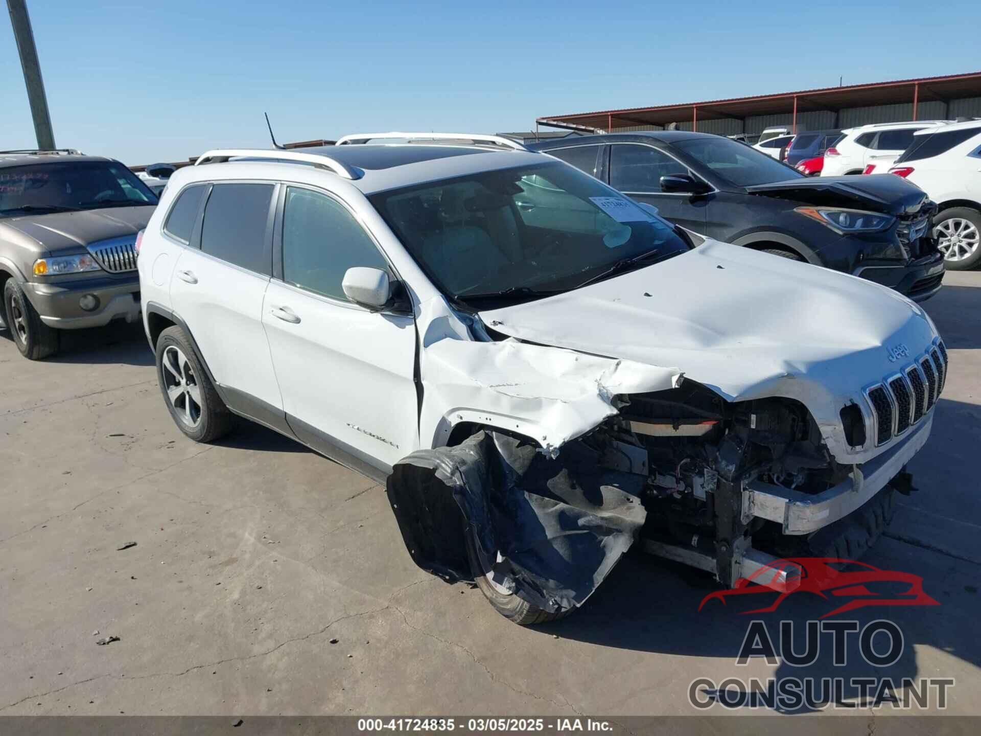 JEEP CHEROKEE 2019 - 1C4PJLDX2KD273103