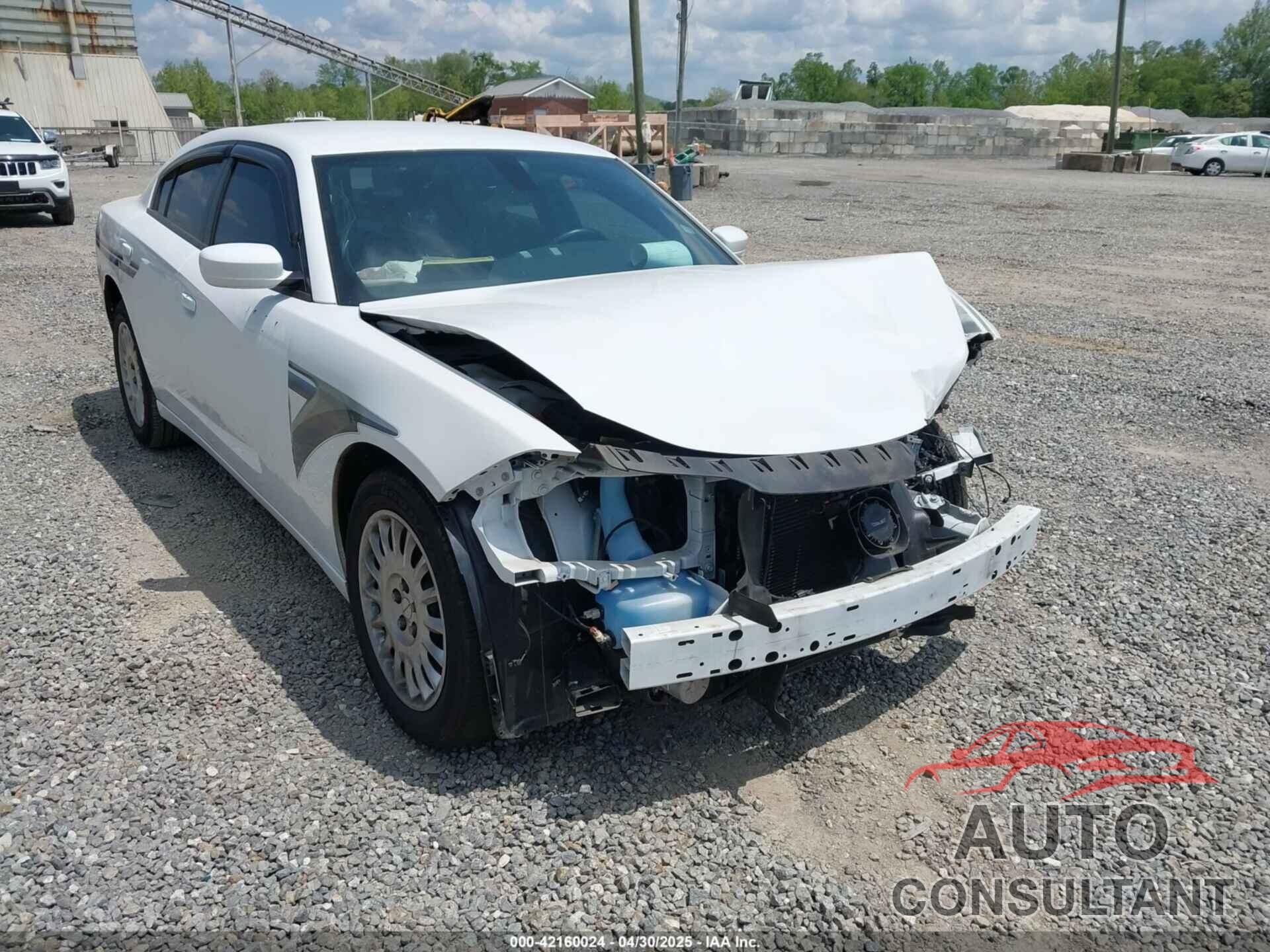 DODGE CHARGER 2019 - 2C3CDXKT8KH555153