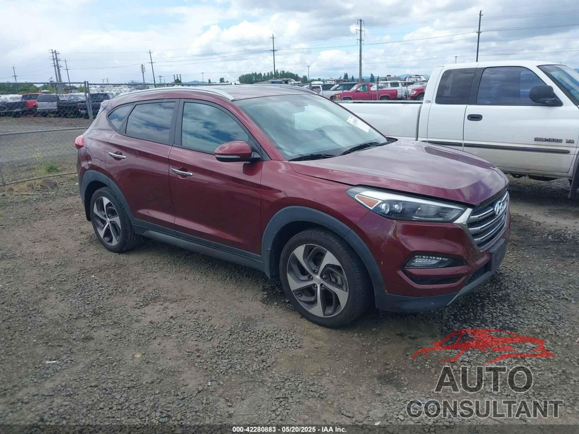 HYUNDAI TUCSON 2016 - KM8J33A28GU056117