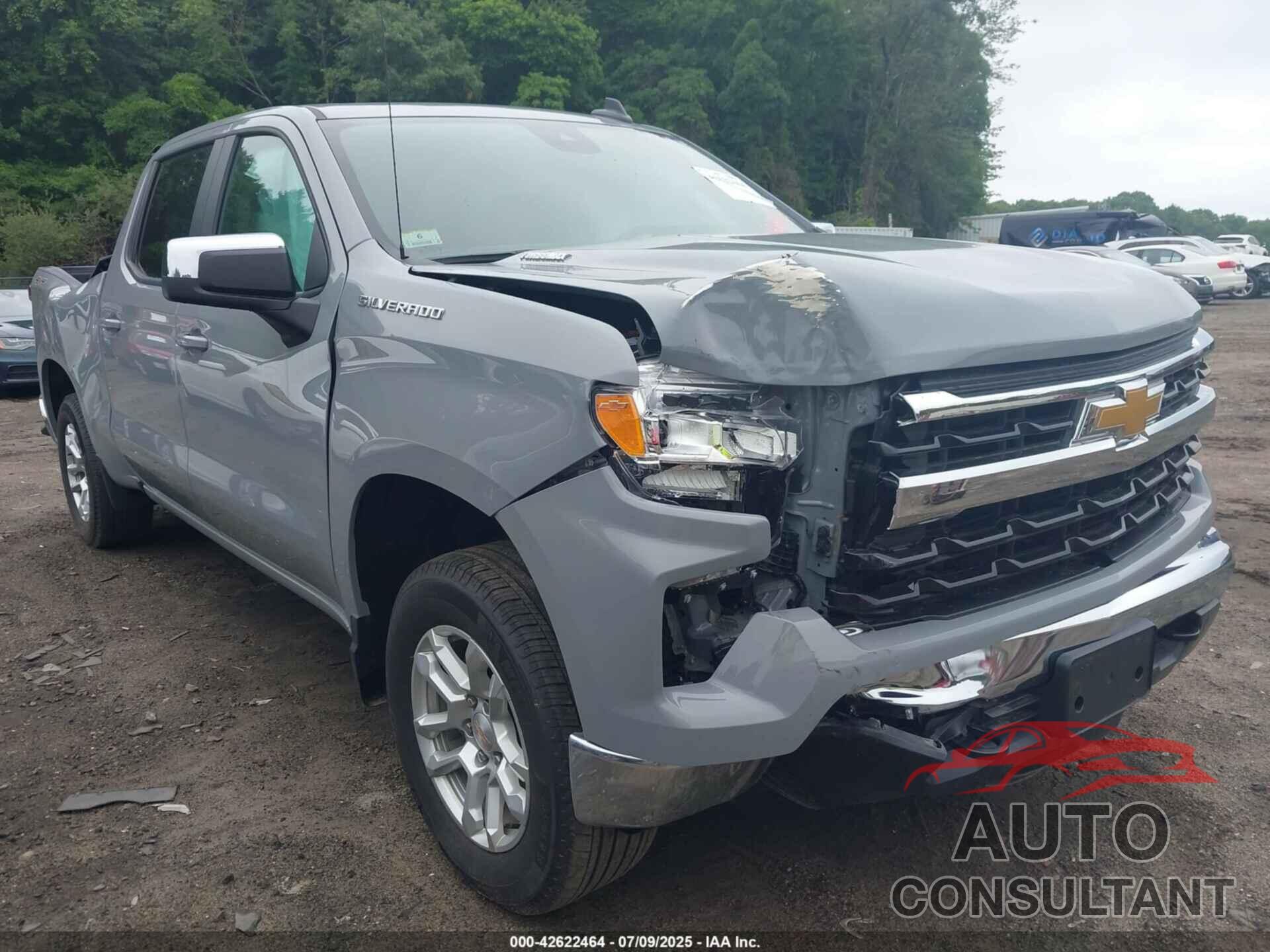 CHEVROLET SILVERADO 1500 2024 - 1GCPDKEK7RZ321311