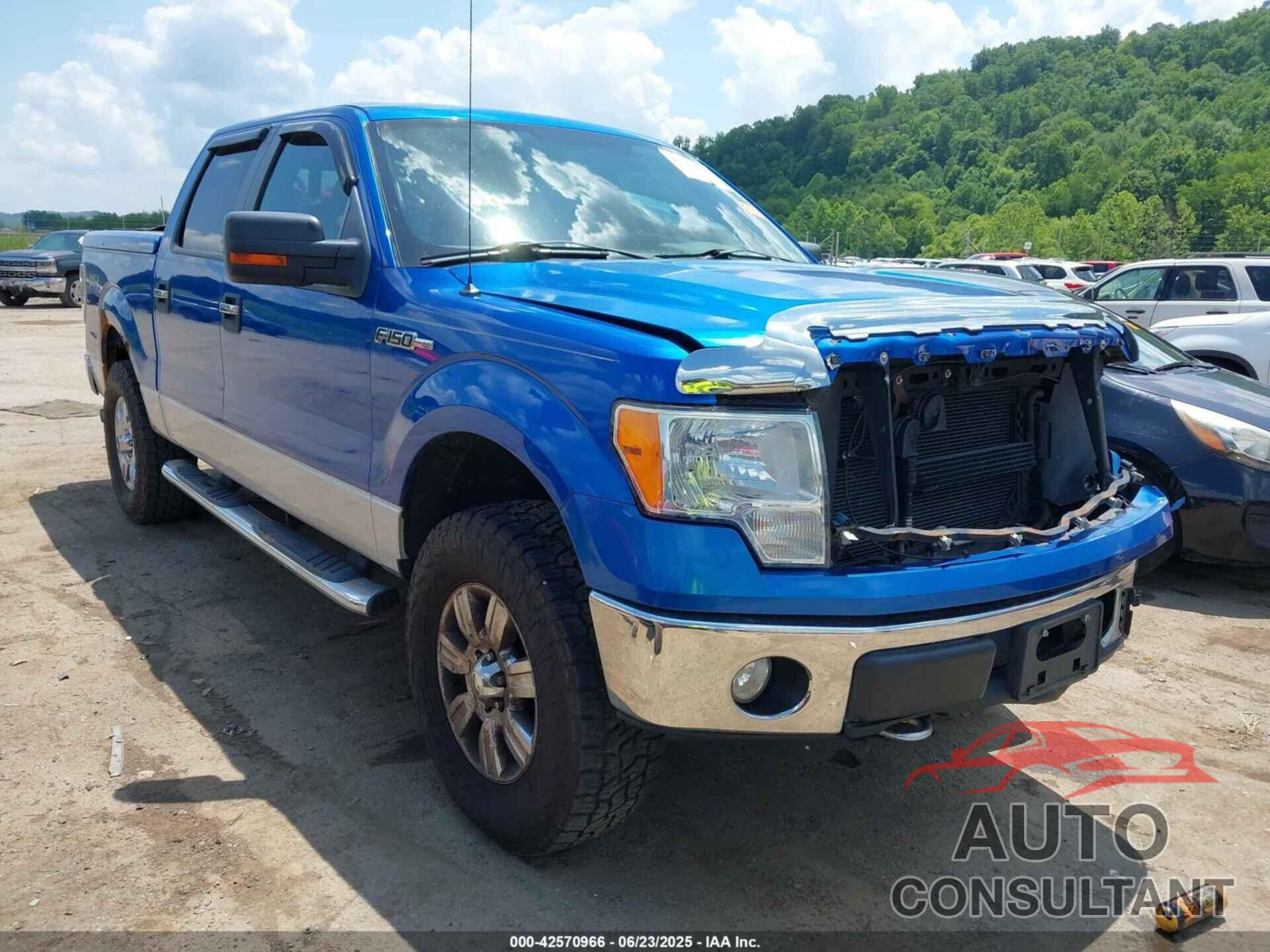 FORD F-150 2010 - 1FTFW1EV1AFB78081
