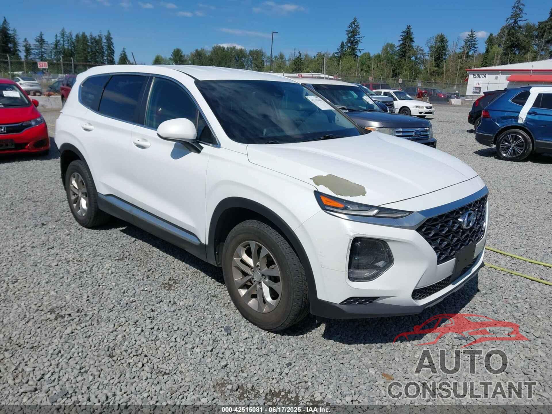 HYUNDAI SANTA FE 2019 - 5NMS2CAD1KH121306