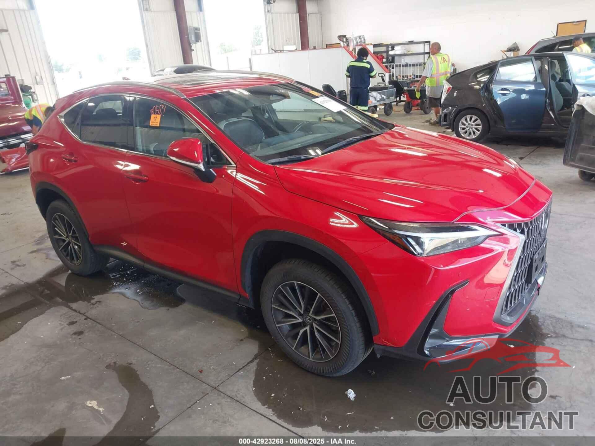 LEXUS NX 350 2024 - JTJGGCEZ4R2010760