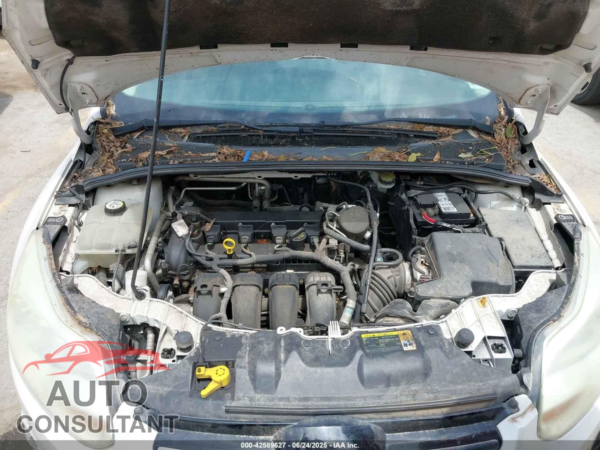FORD FOCUS 2012 - 1FAHP3H2XCL231504