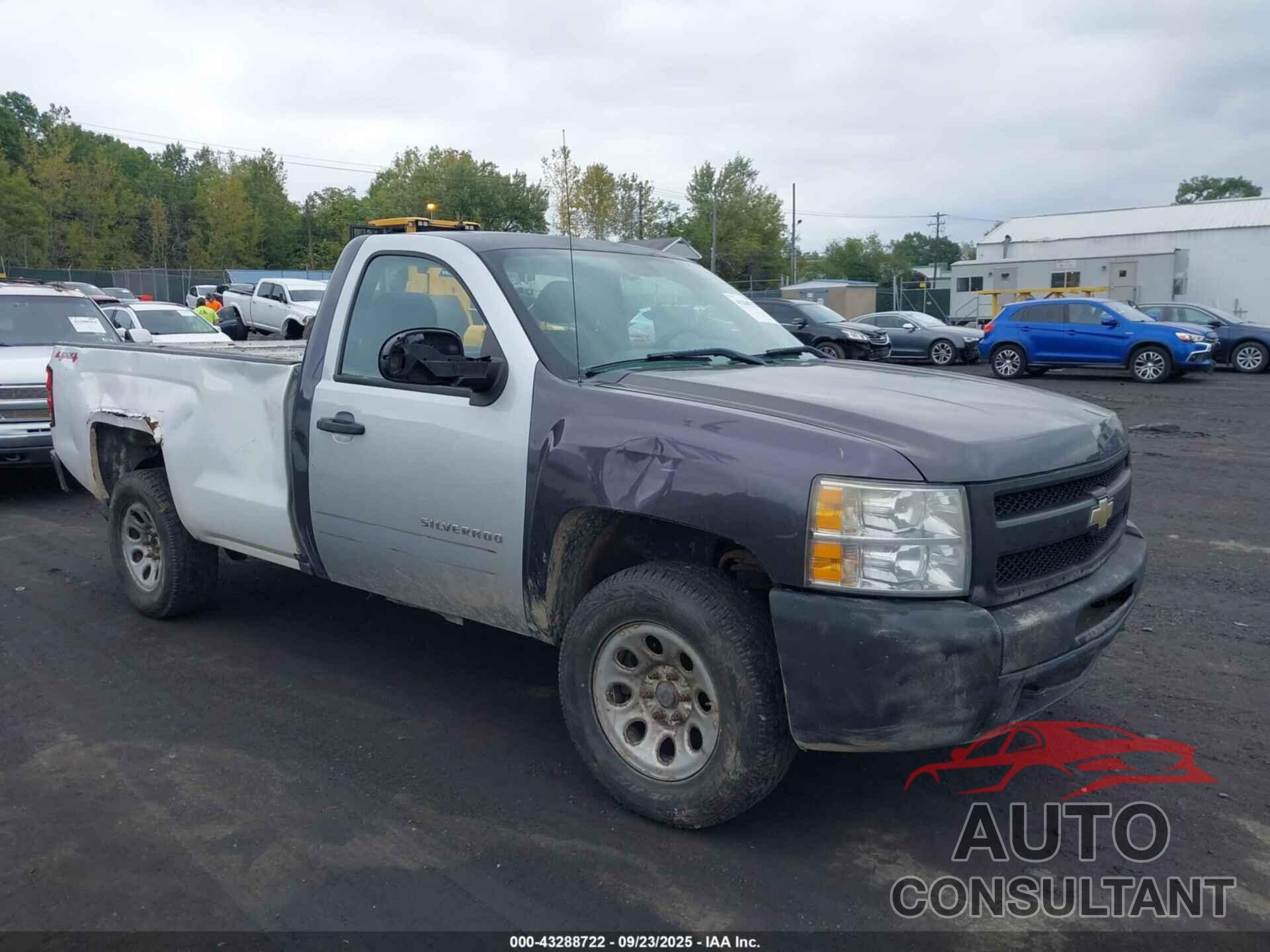 CHEVROLET SILVERADO 1500 2010 - 1GCPKPEA7AZ136593