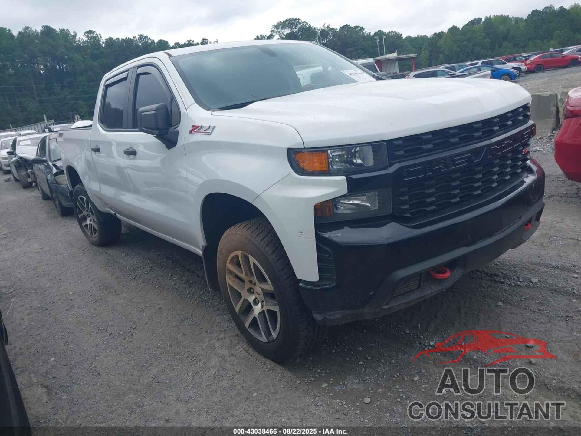 CHEVROLET SILVERADO 1500 2019 - 1GCPYCEF6KZ304048