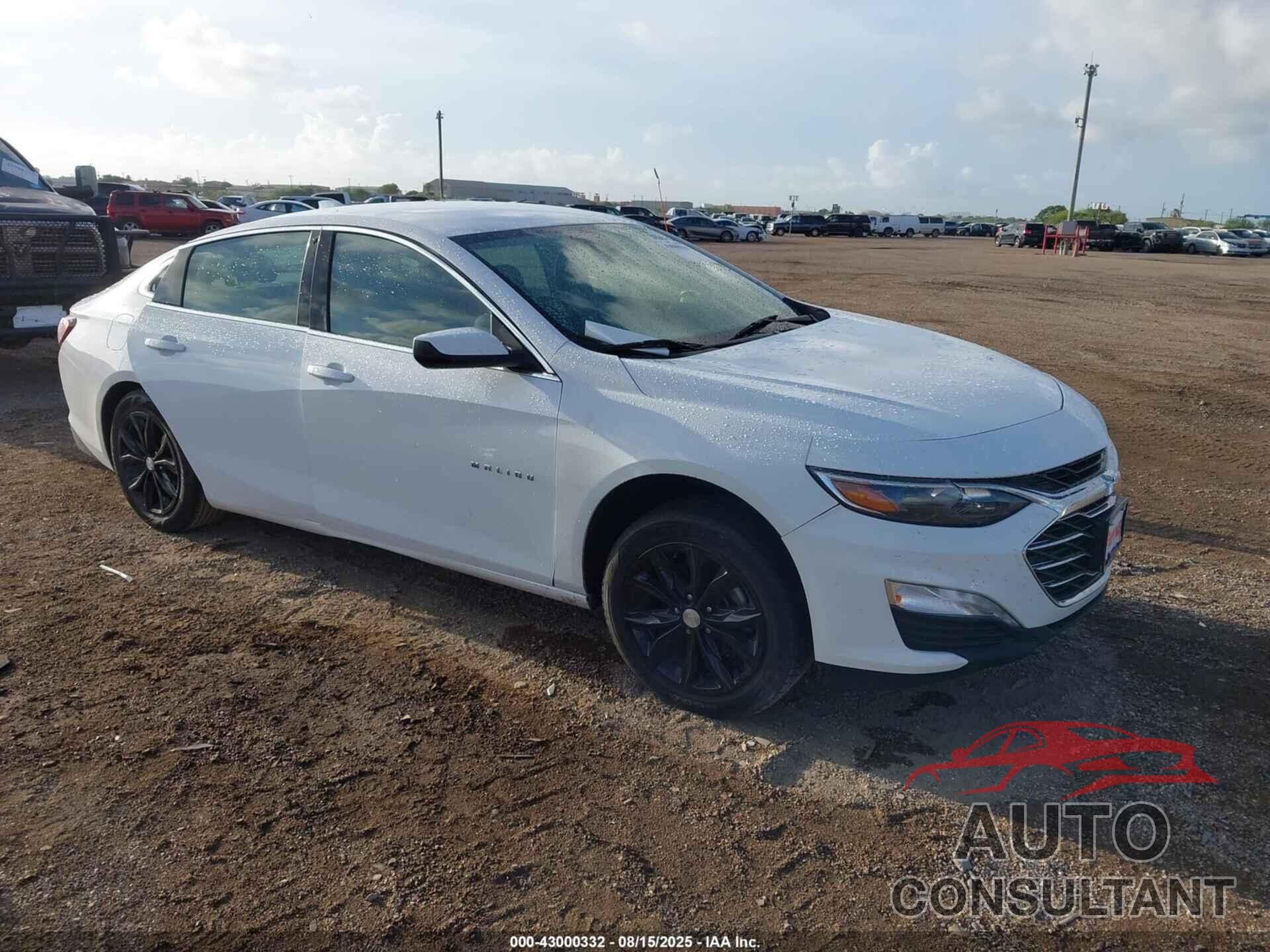 CHEVROLET MALIBU 2021 - 1G1ZD5ST7MF011542