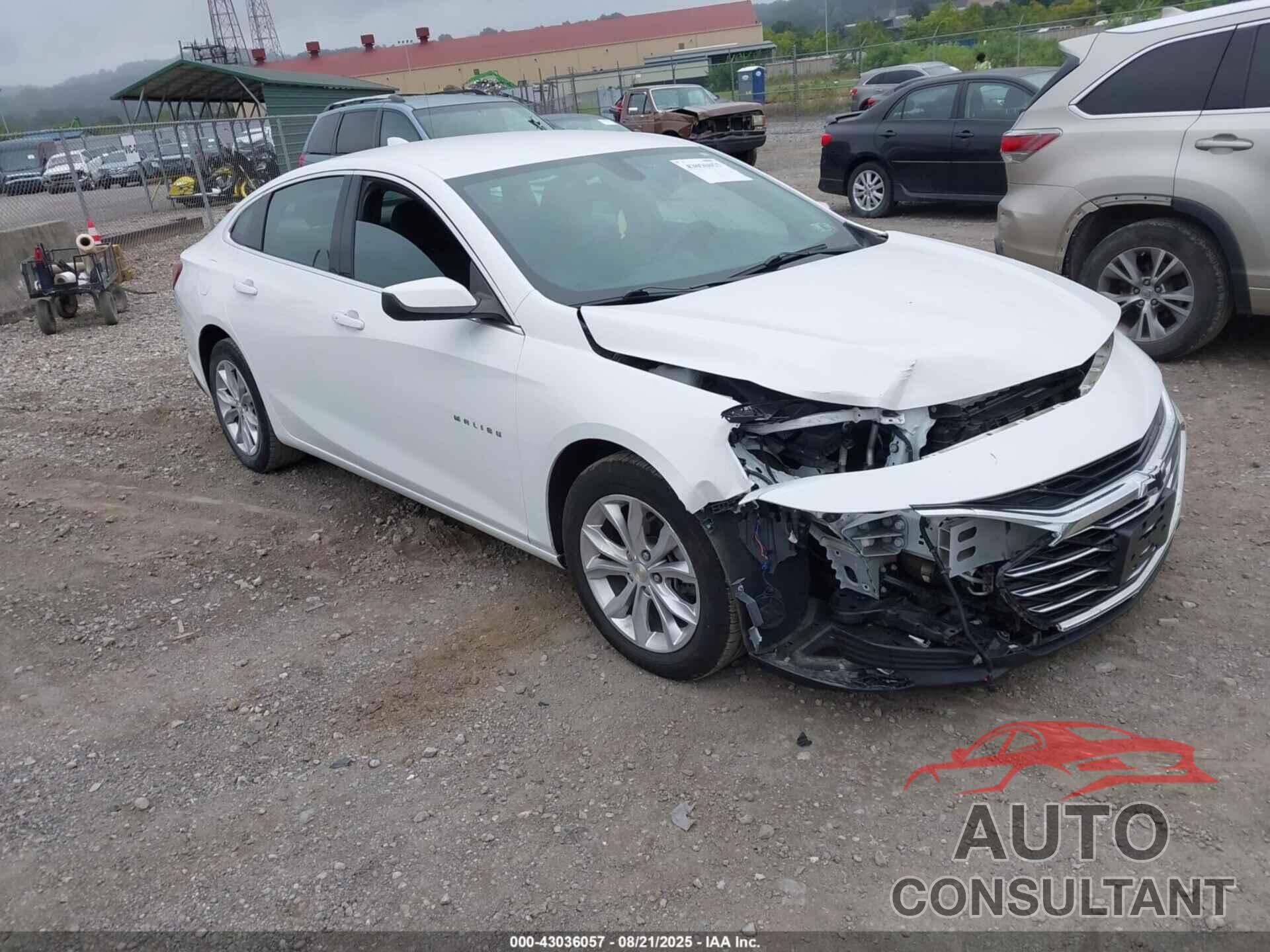 CHEVROLET MALIBU 2019 - 1G1ZD5ST7KF220440