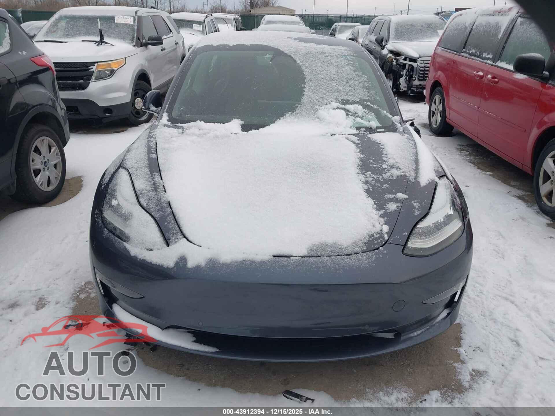 TESLA MODEL 3 2019 - 5YJ3E1EA2KF307647