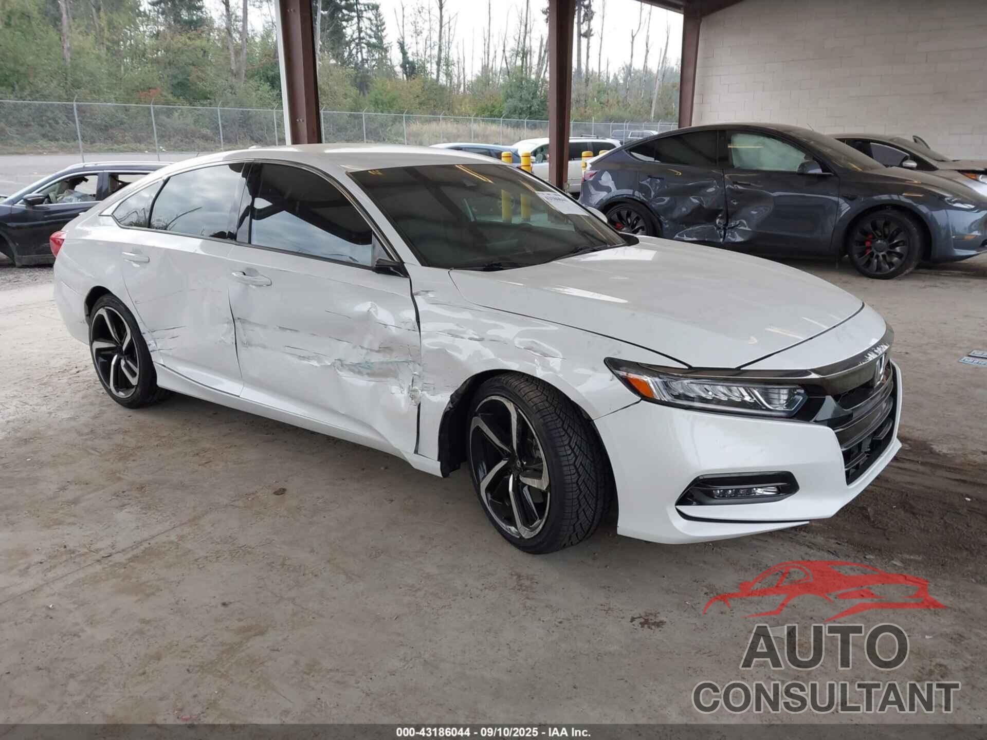 HONDA ACCORD 2019 - 1HGCV1F33KA147742