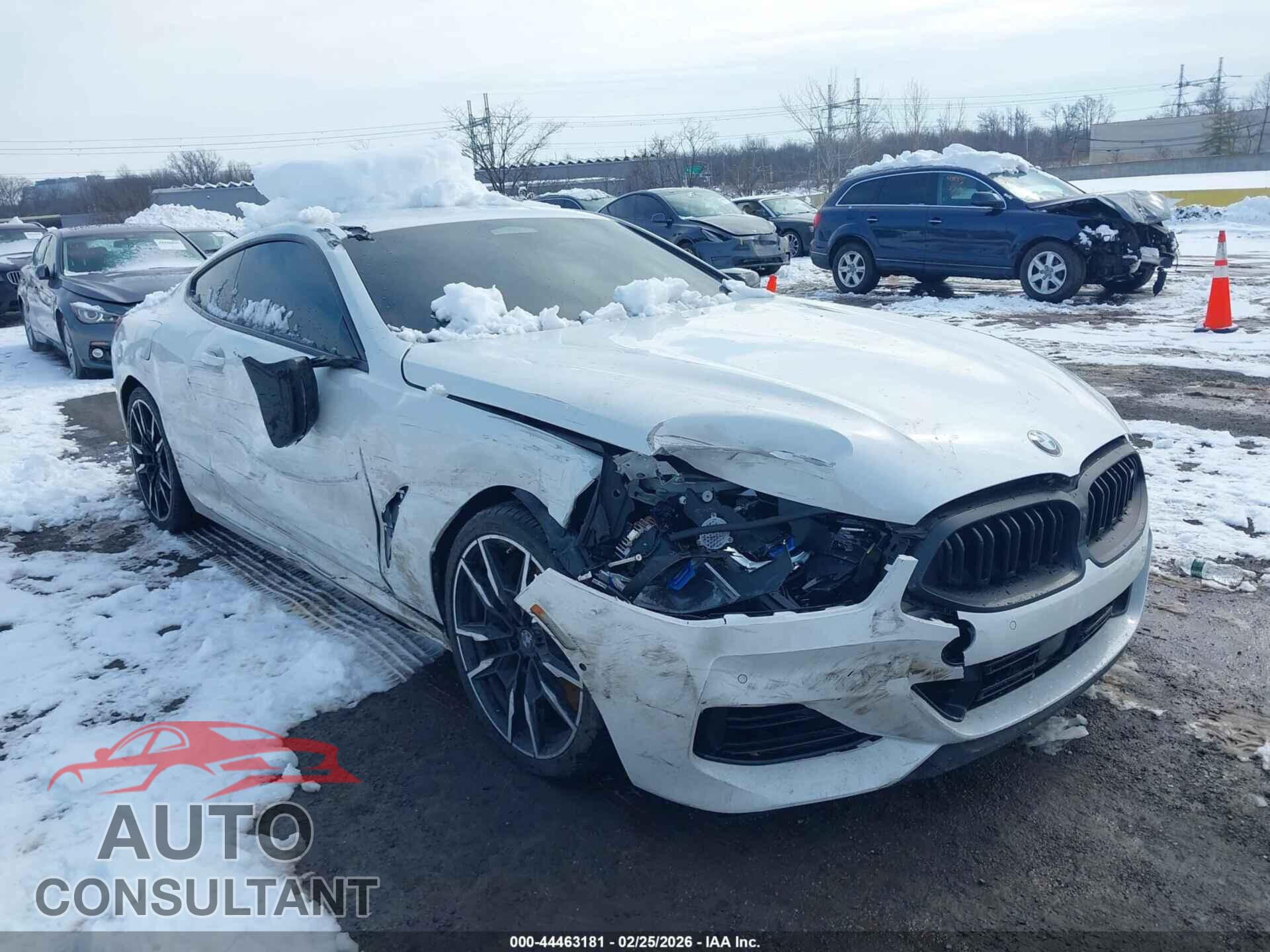 BMW M850I 2025 - WBABC4C09SCT17583