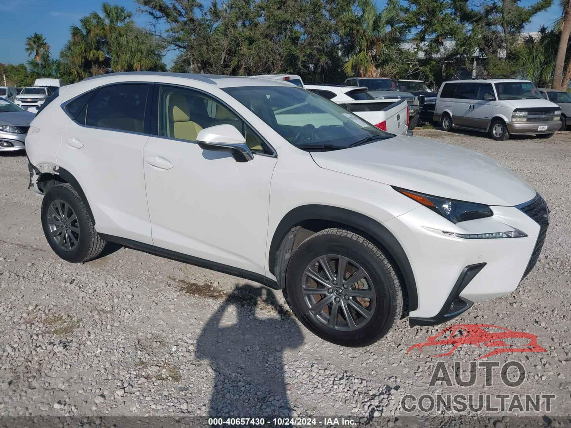 LEXUS NX 300 2020 - JTJDARDZ7L2220334