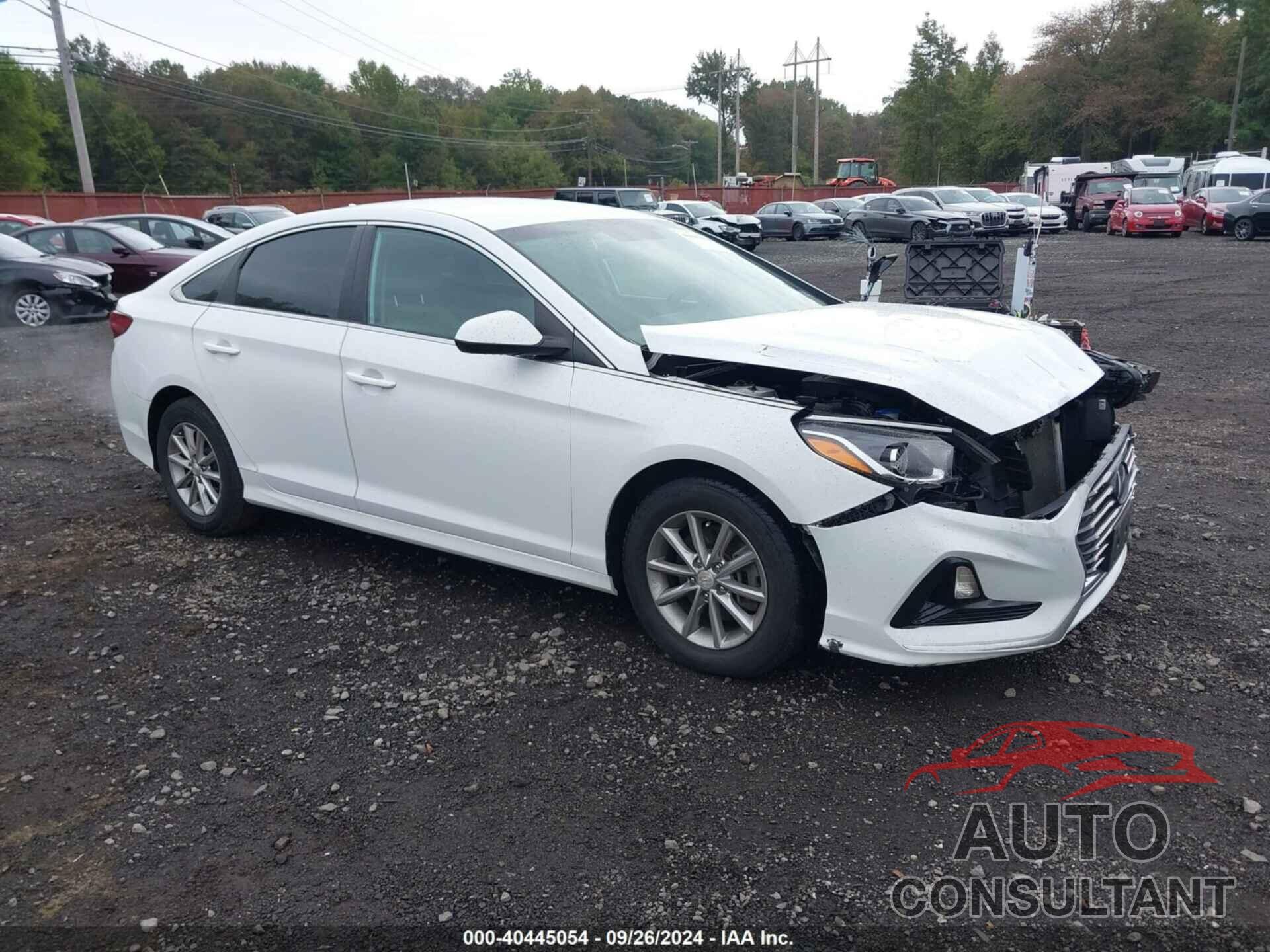 HYUNDAI SONATA 2019 - 5NPE24AF2KH743761