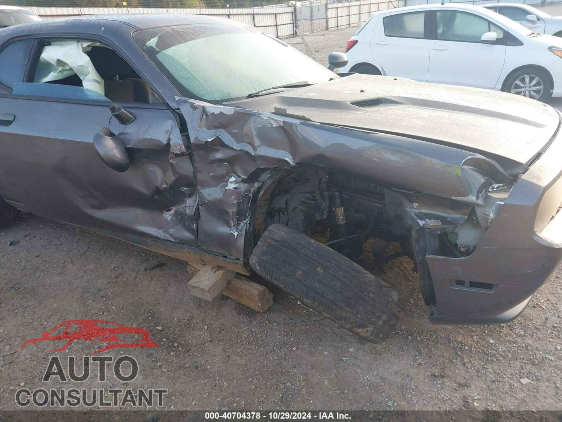 DODGE CHALLENGER 2014 - 2C3CDYAG9EH133343